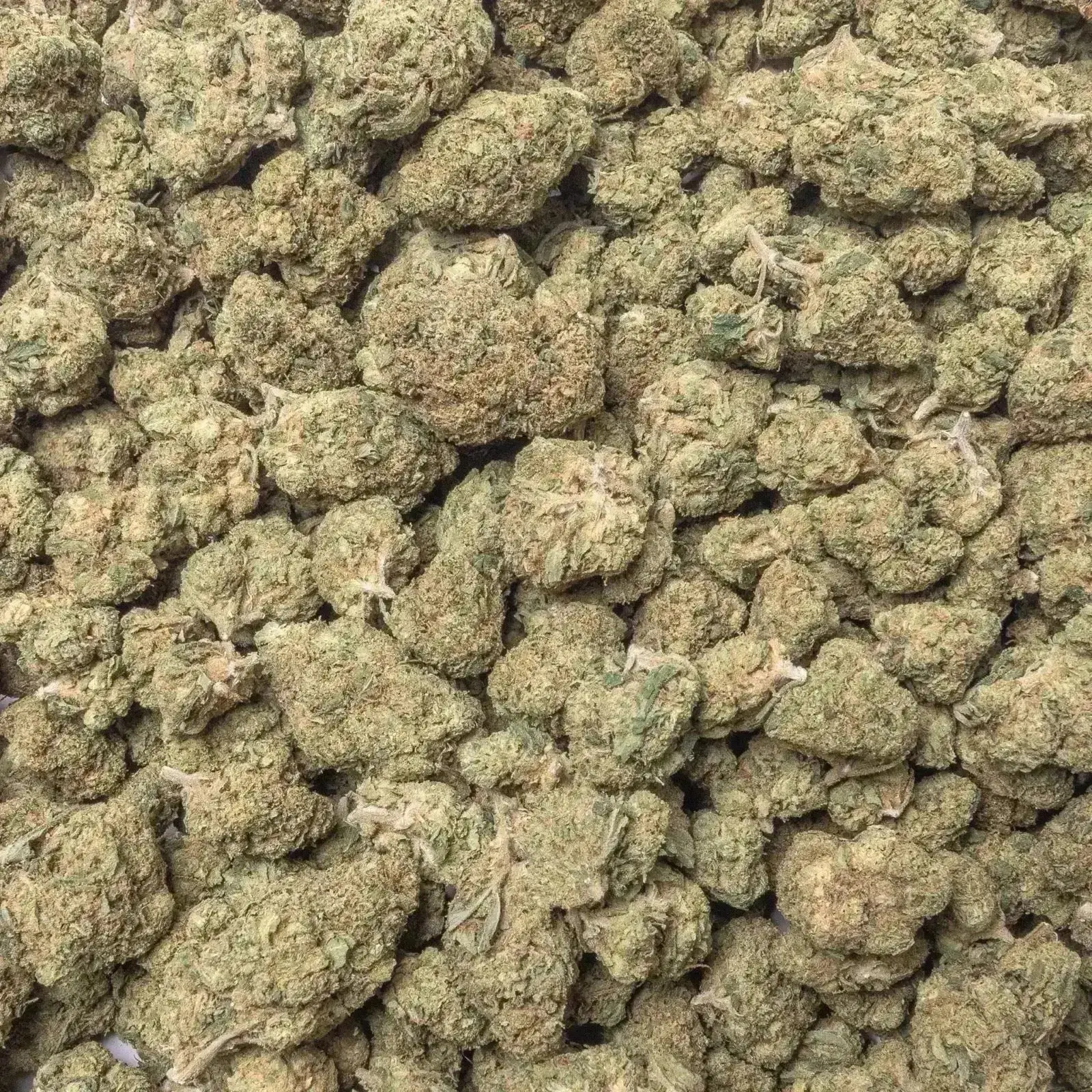 Acapulco Gold THCa Flower - Image 9