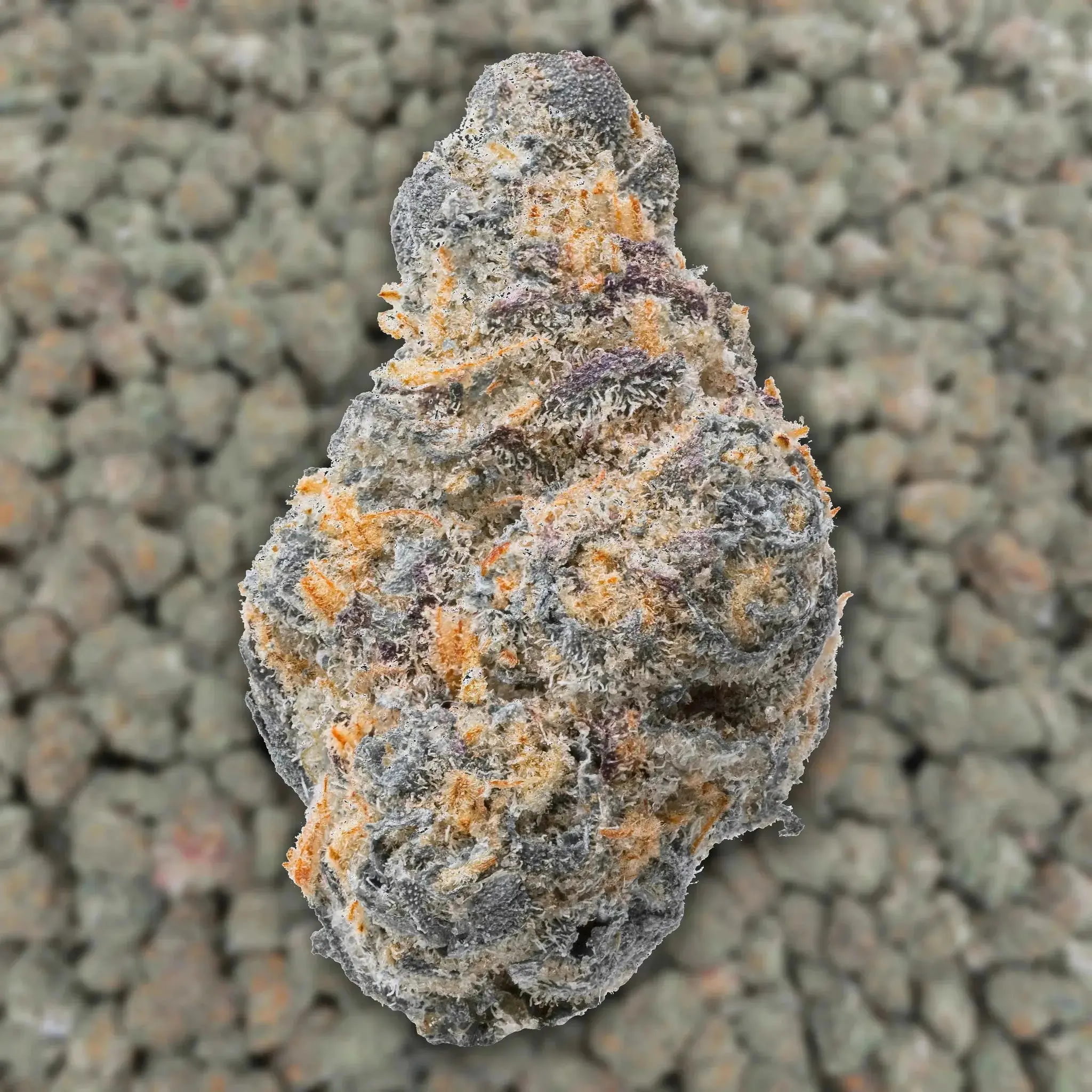 Alaskan TF Smalls THCa Flower Ounce - Image 3