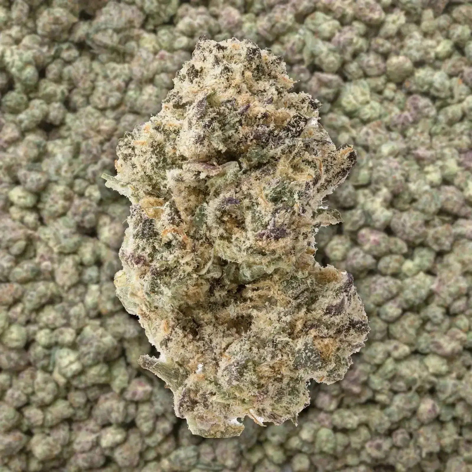 Apple Fritter Smalls THCa Flower - Image 3