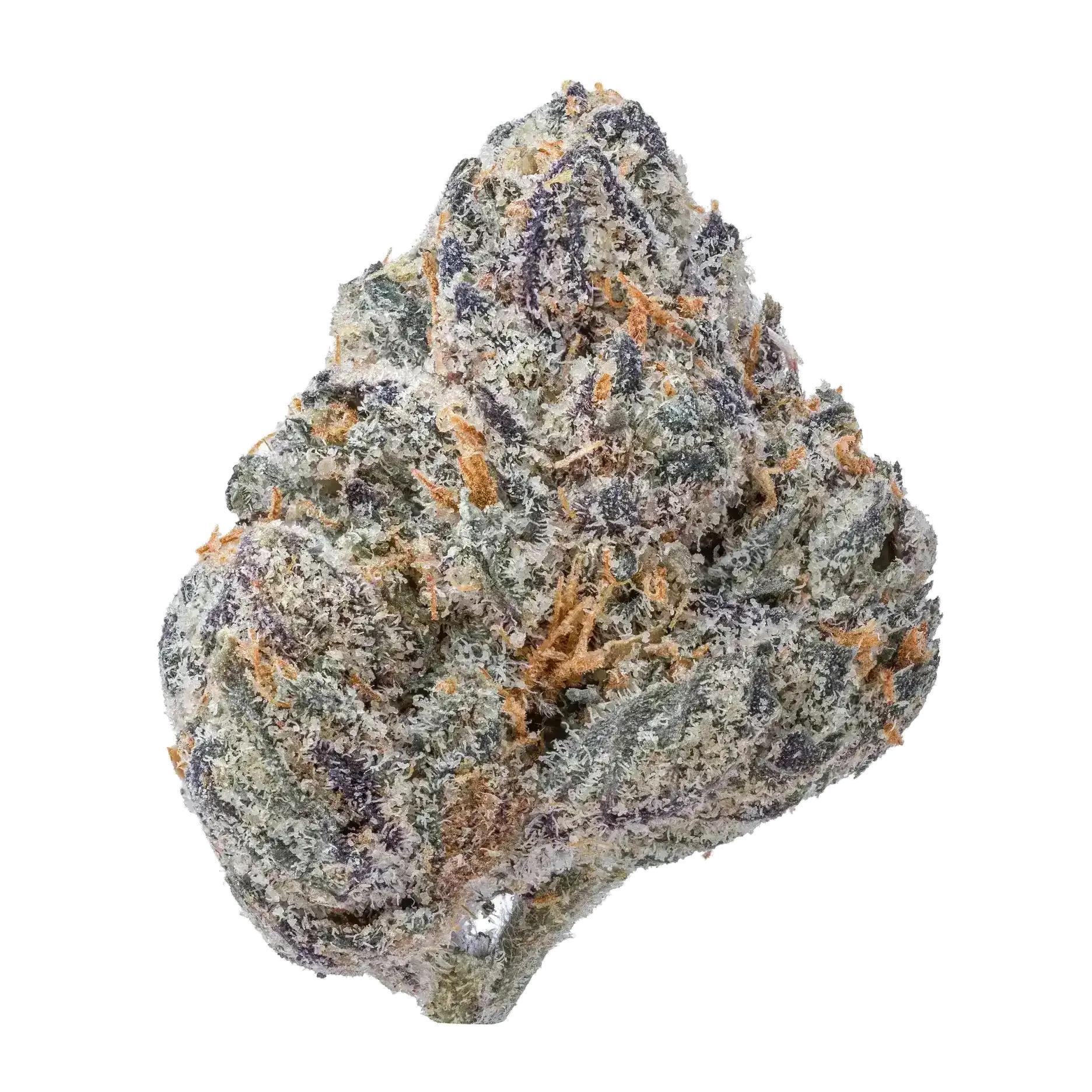 Black Cherry Gelato Smalls THCa Flower - Image 2