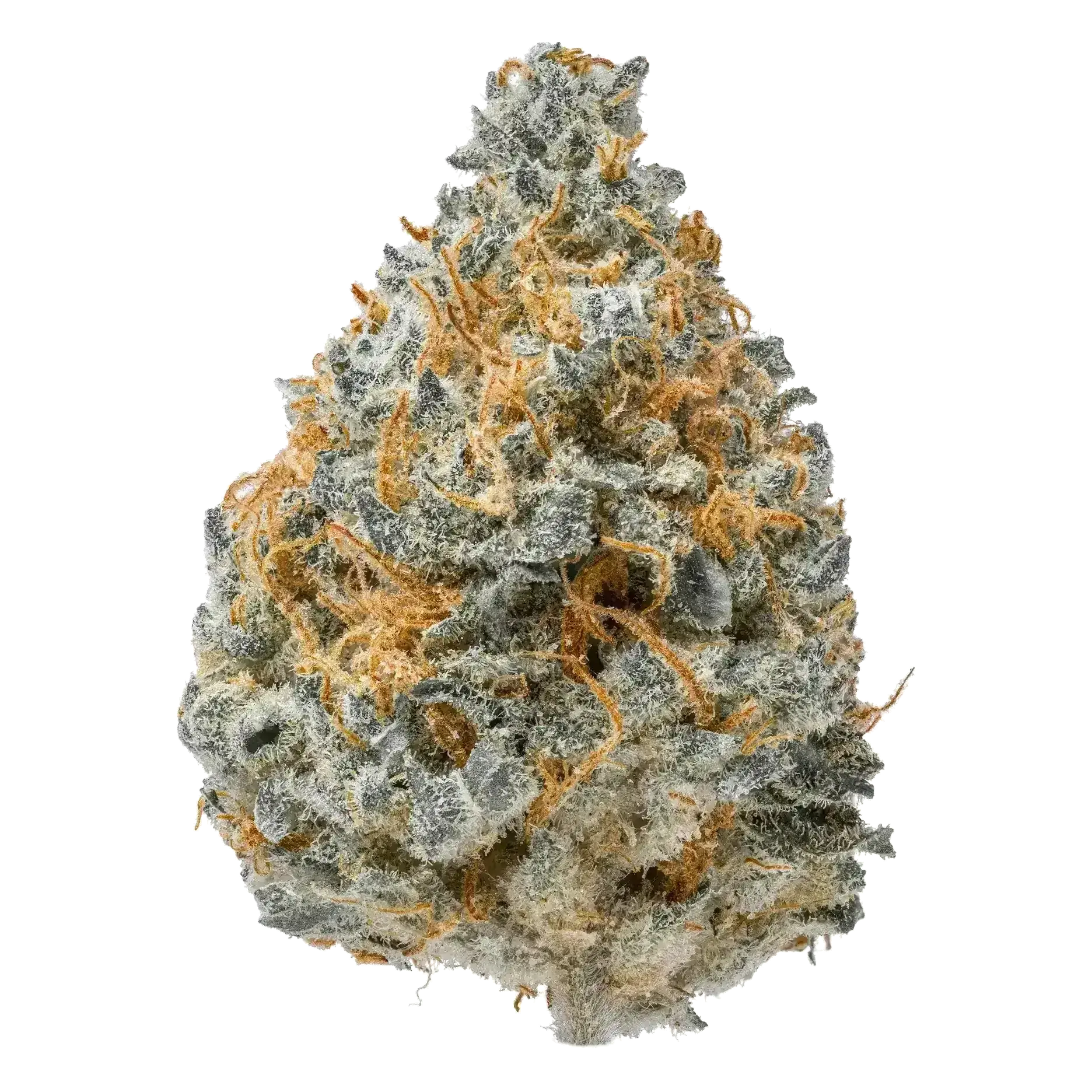 Blue Dream THCa Flower - Image 3