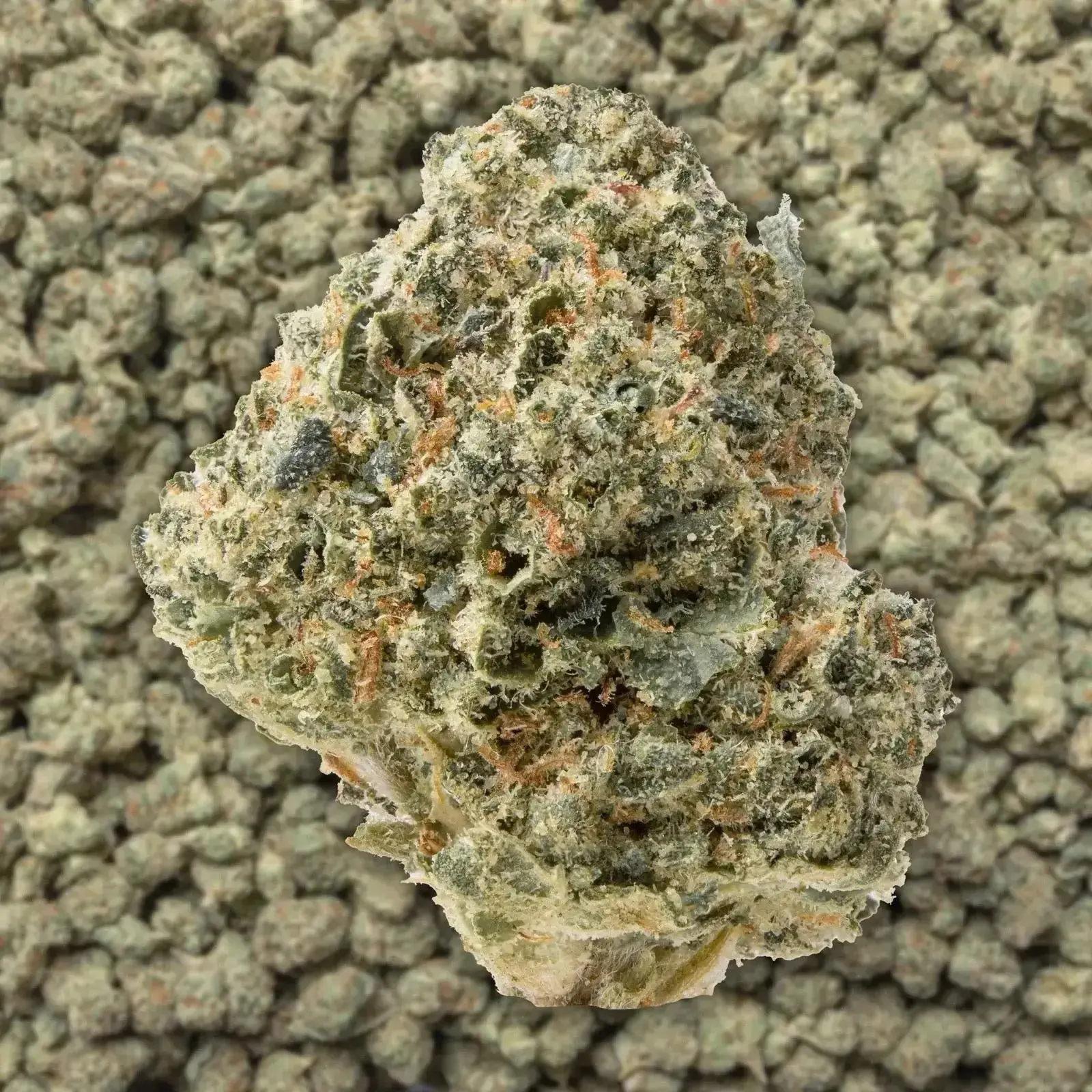 Blue Zkittles Smalls THCa Flower - Image 3