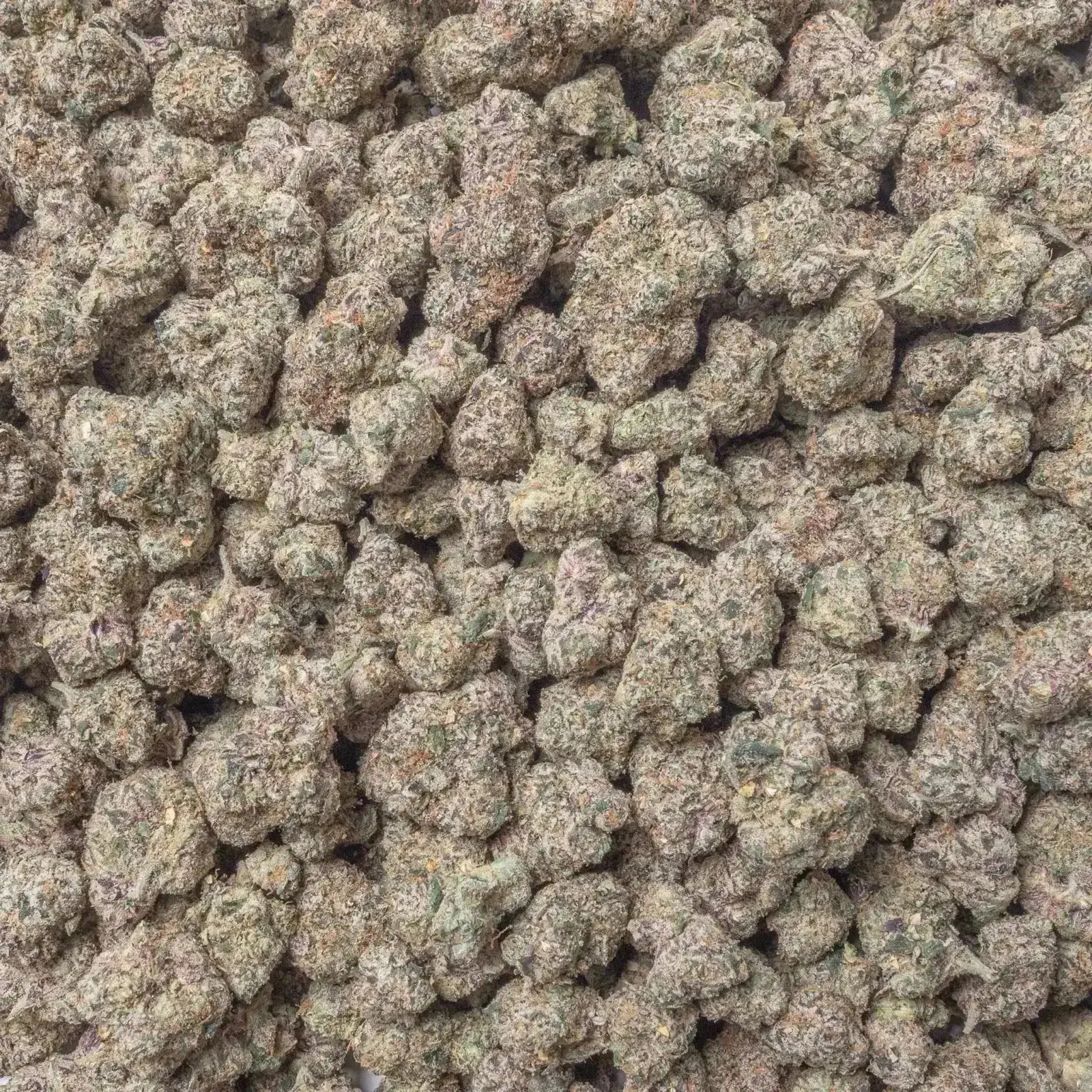 Brat Berry THCa Flower - Image 3