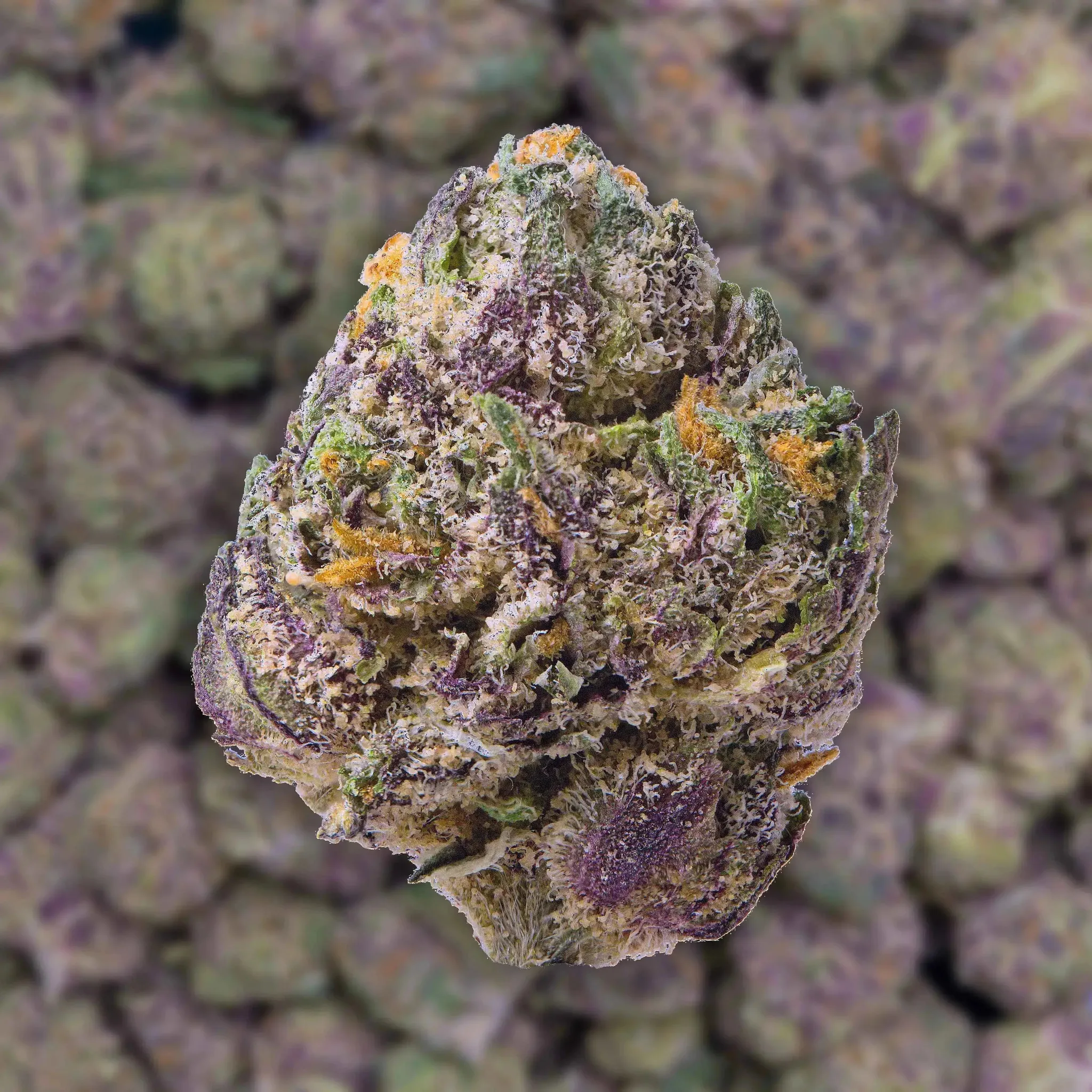 Burst THCa Flower - Image 2