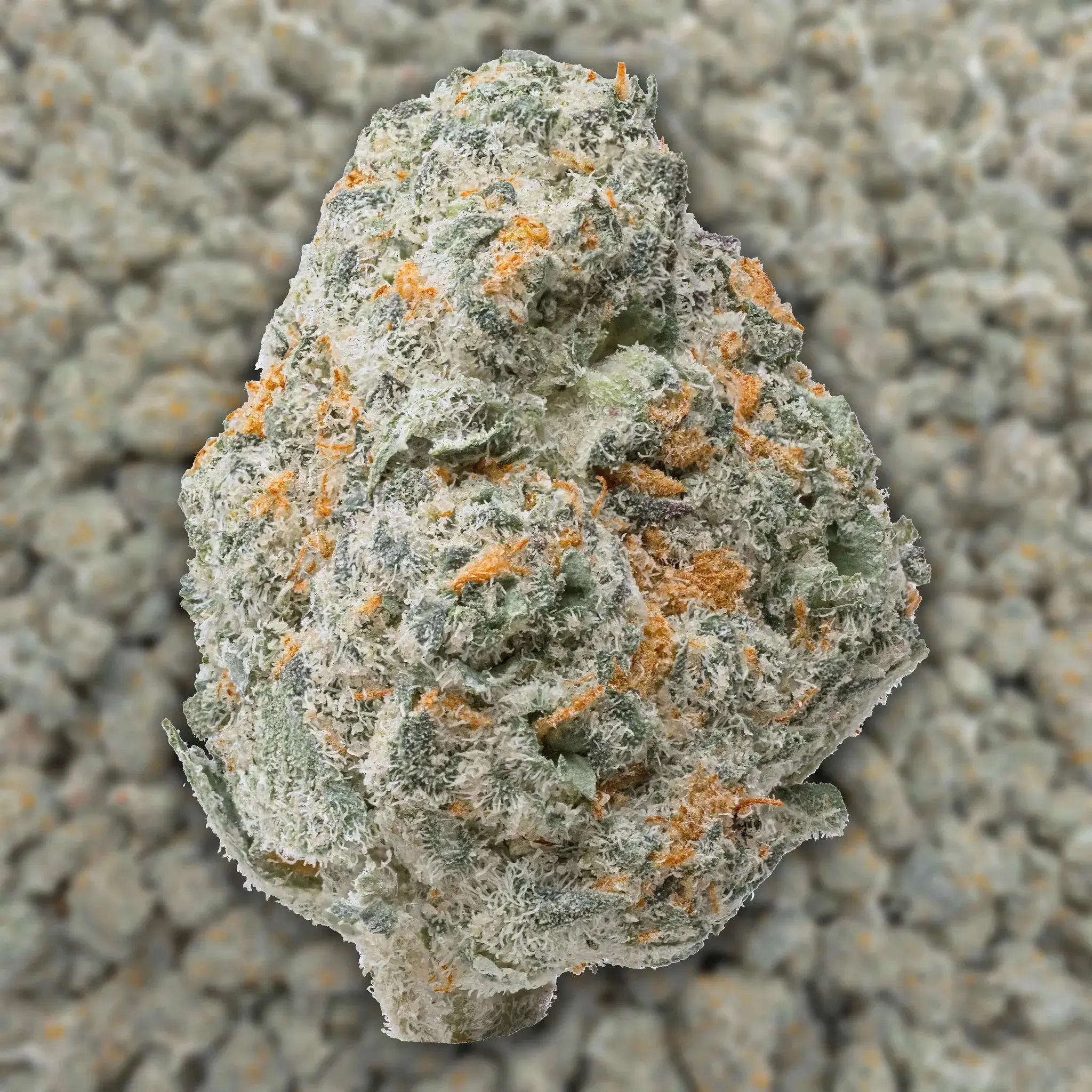 Cereal Milk Smalls THCa Flower - Image 3