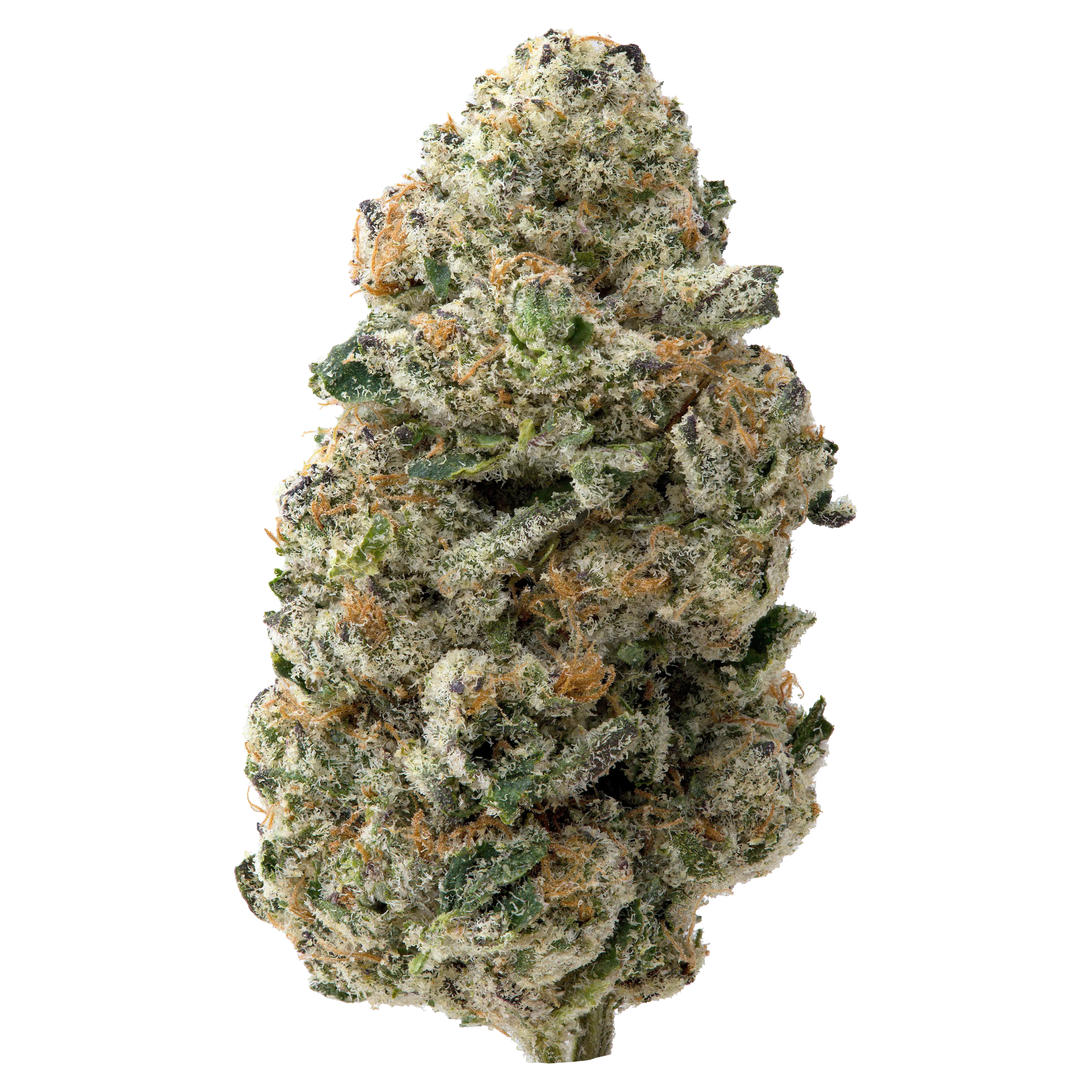 Colombian Gold THCa Flower 3.5g - Image 2