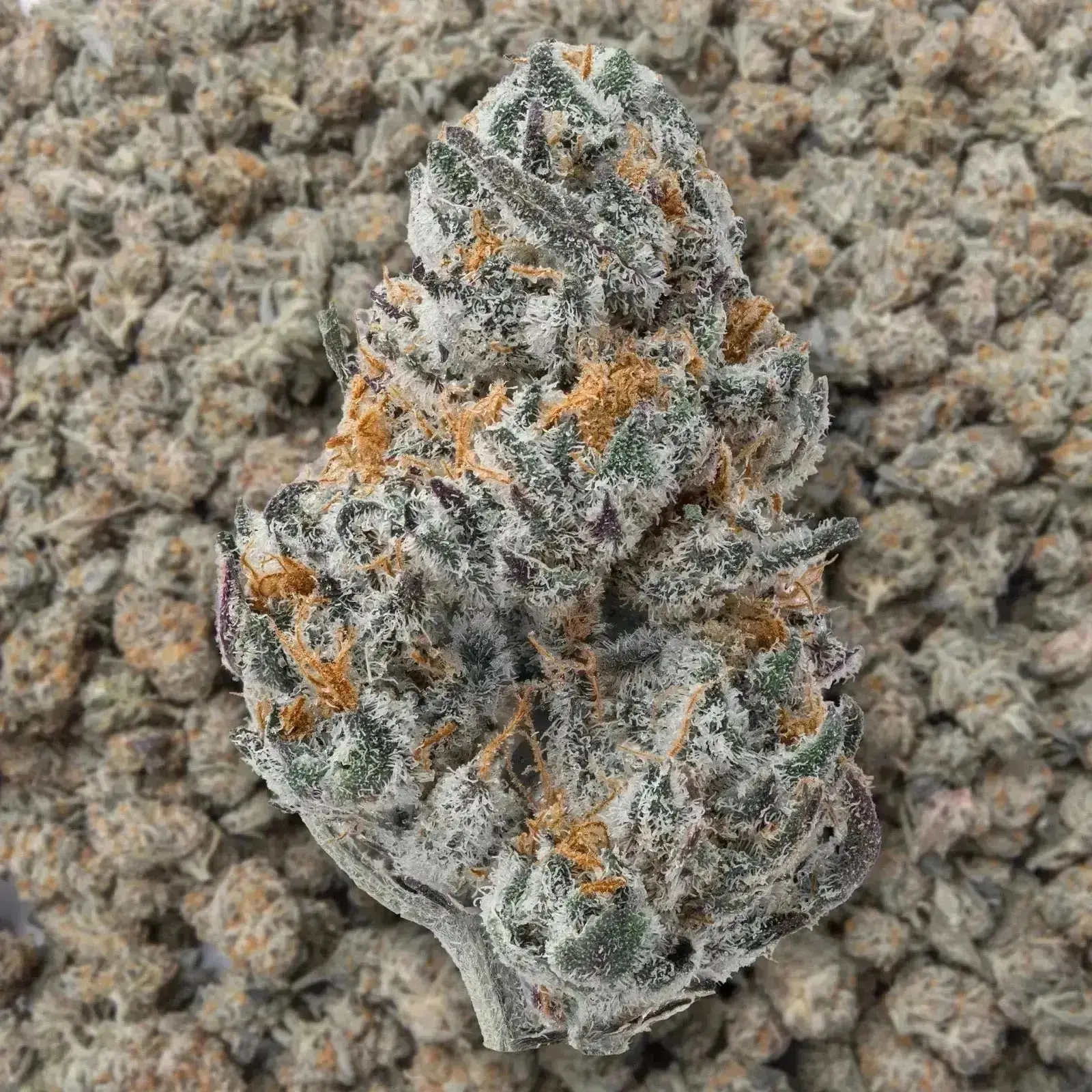 Cookies And Cream Smalls THCa Flower 3.5 Grams - Image 3