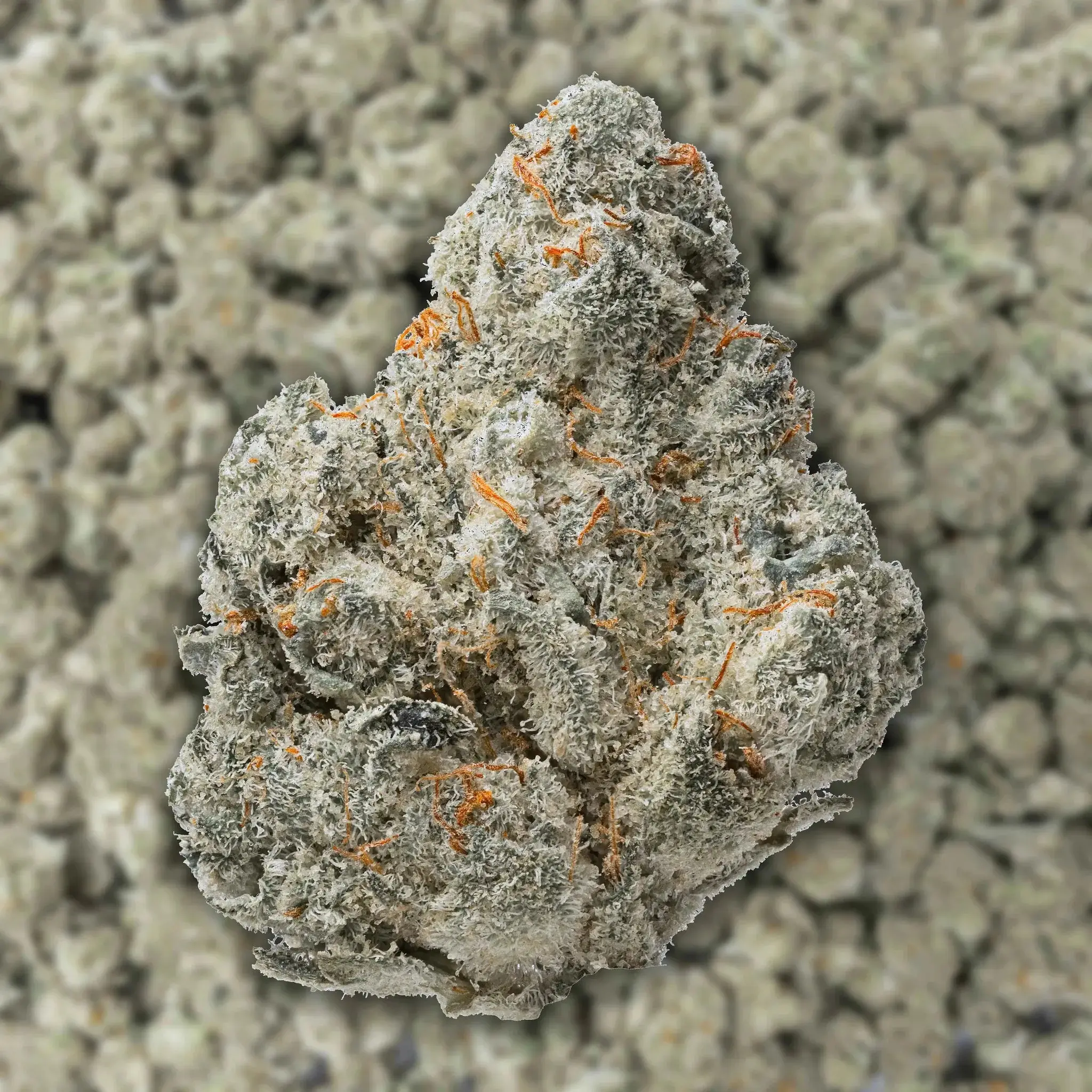 Durban Poison Smalls THCa Flower - Image 3