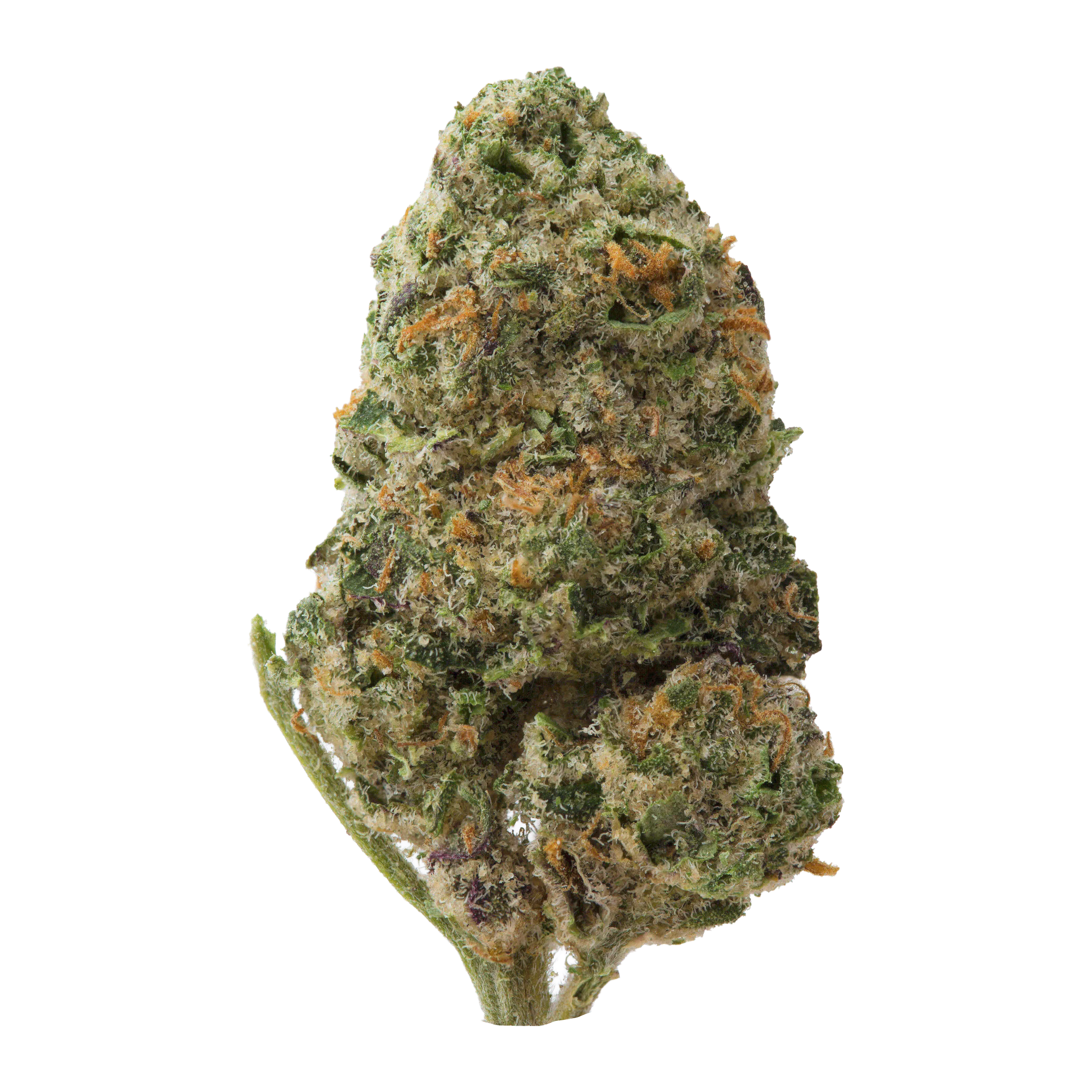 Gary Payton Smalls THCa Flower Ounce - Image 2