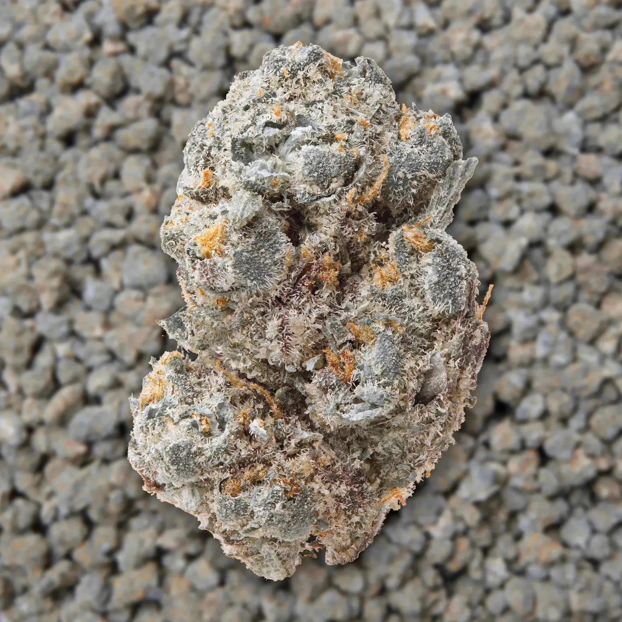 Gary Payton Smalls THCa Flower Ounce - Image 3