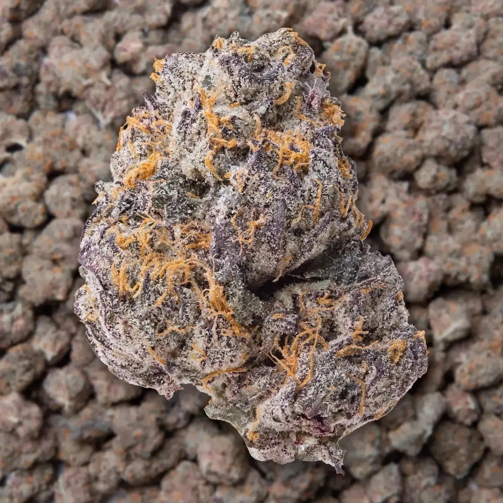 Gary Payton THCa Flower - Image 3