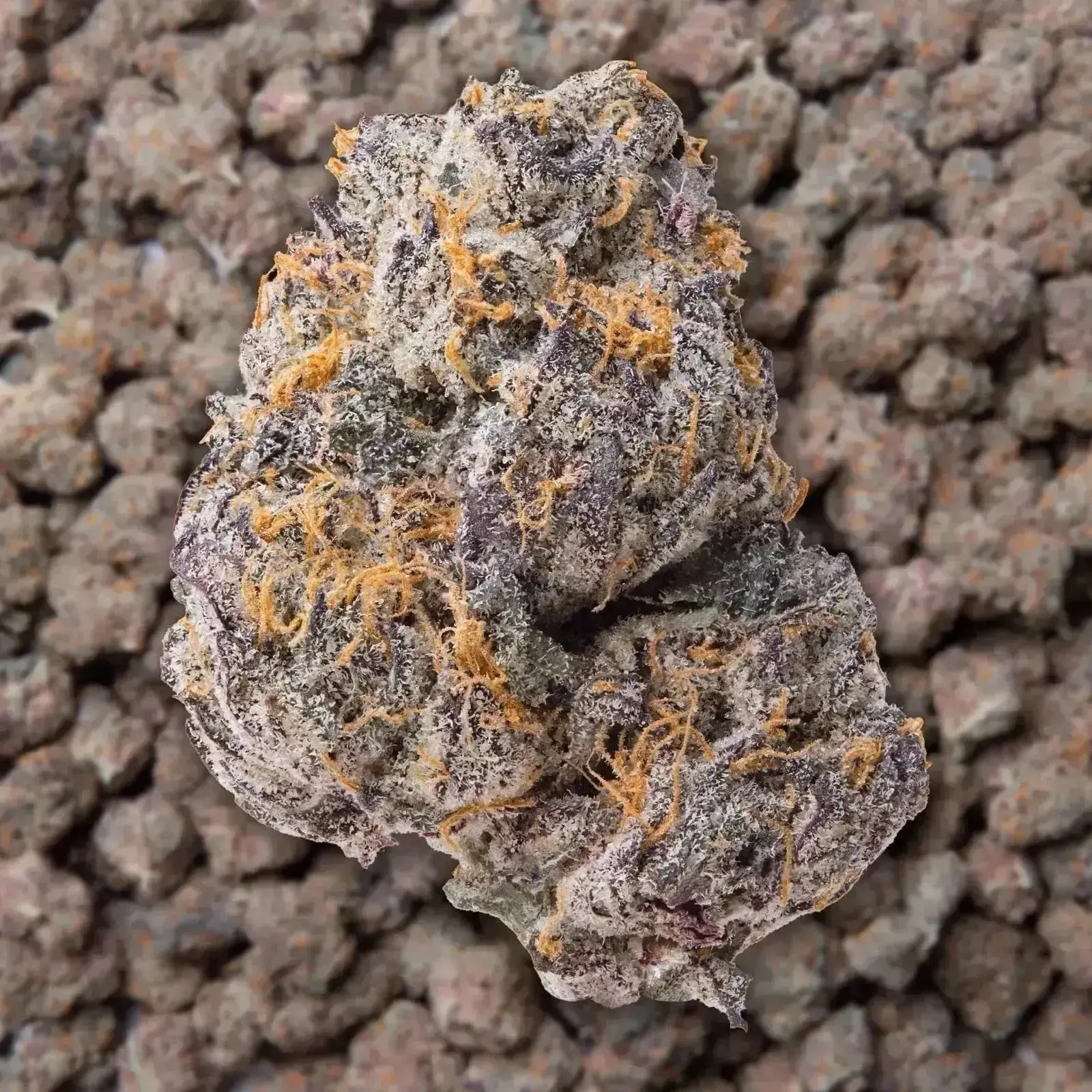Gary Payton THCa Flower Ounce - Image 3