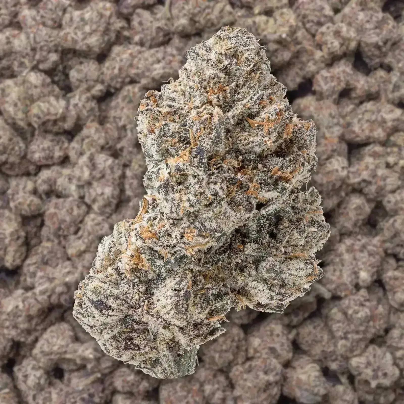 Gas Mask THCa Flower - Image 4