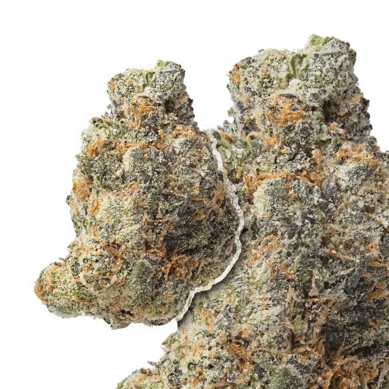 Gelato 33 THCa Flower Ounce - Image 4