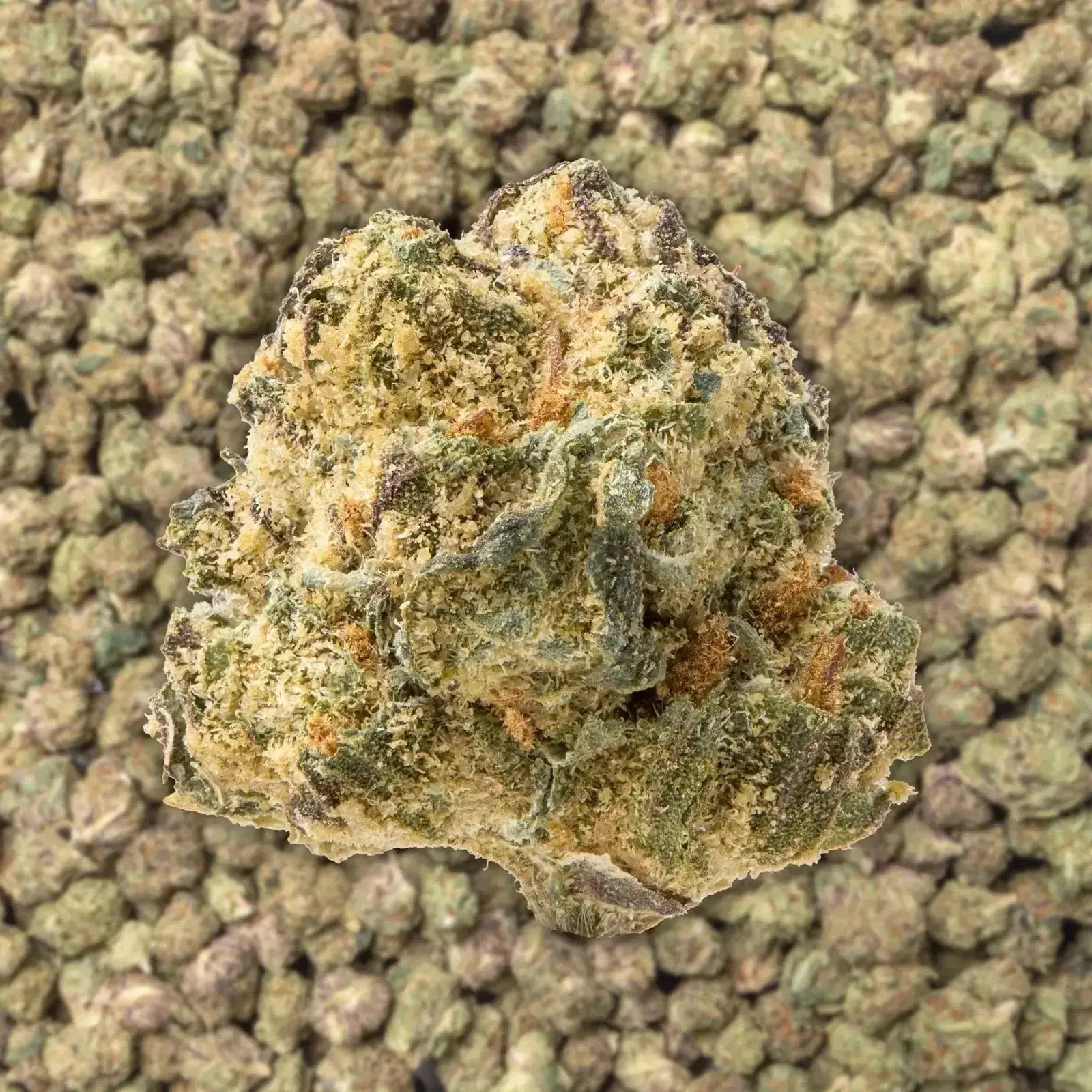 Gelato 41 Smalls THCa Flower - Image 3