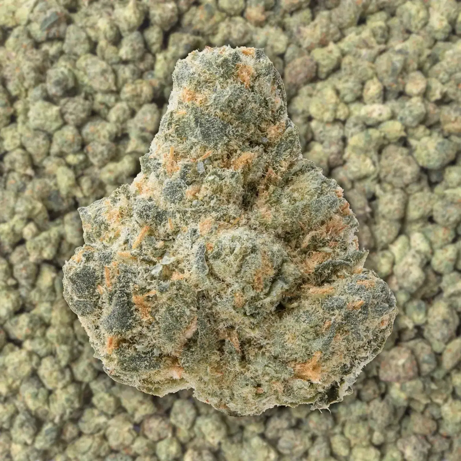 Gelato Cream Smalls THCa Flower - Image 3