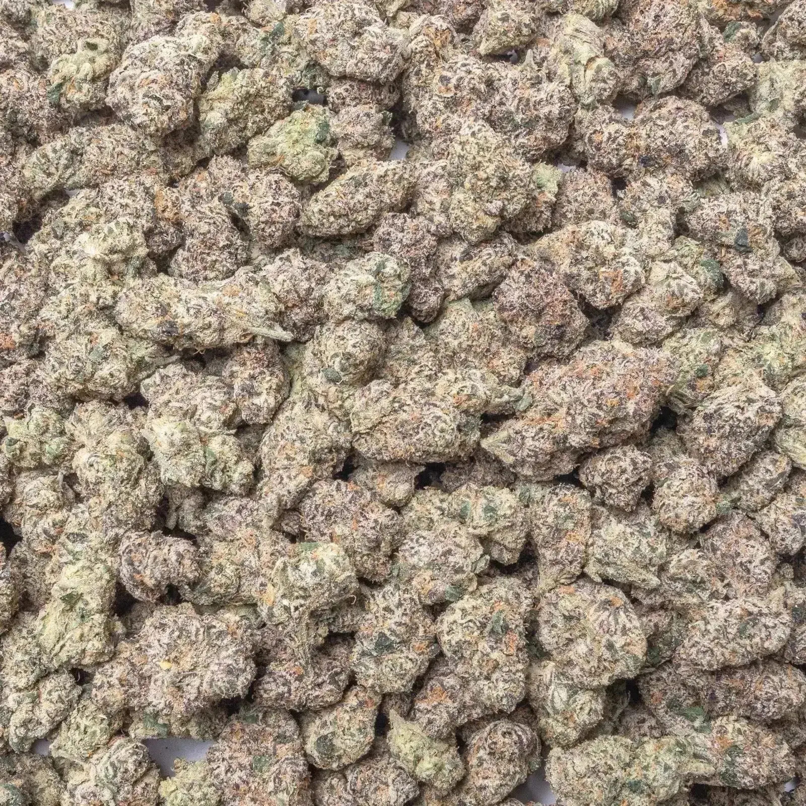 Glitter Bomb THCa Flower - Image 5