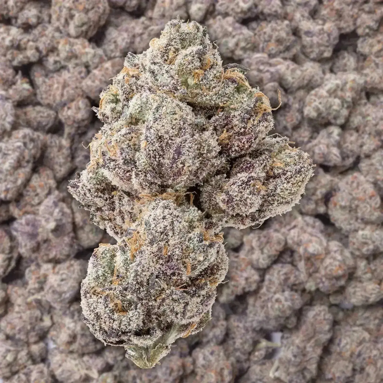 Grape Ape THCa Flower - Image 2