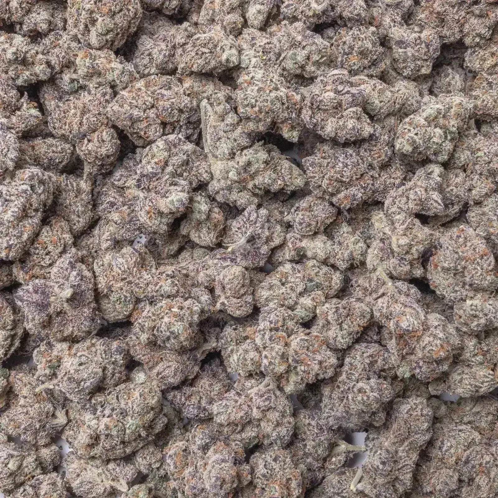 Grape Ape THCa Flower - Image 8