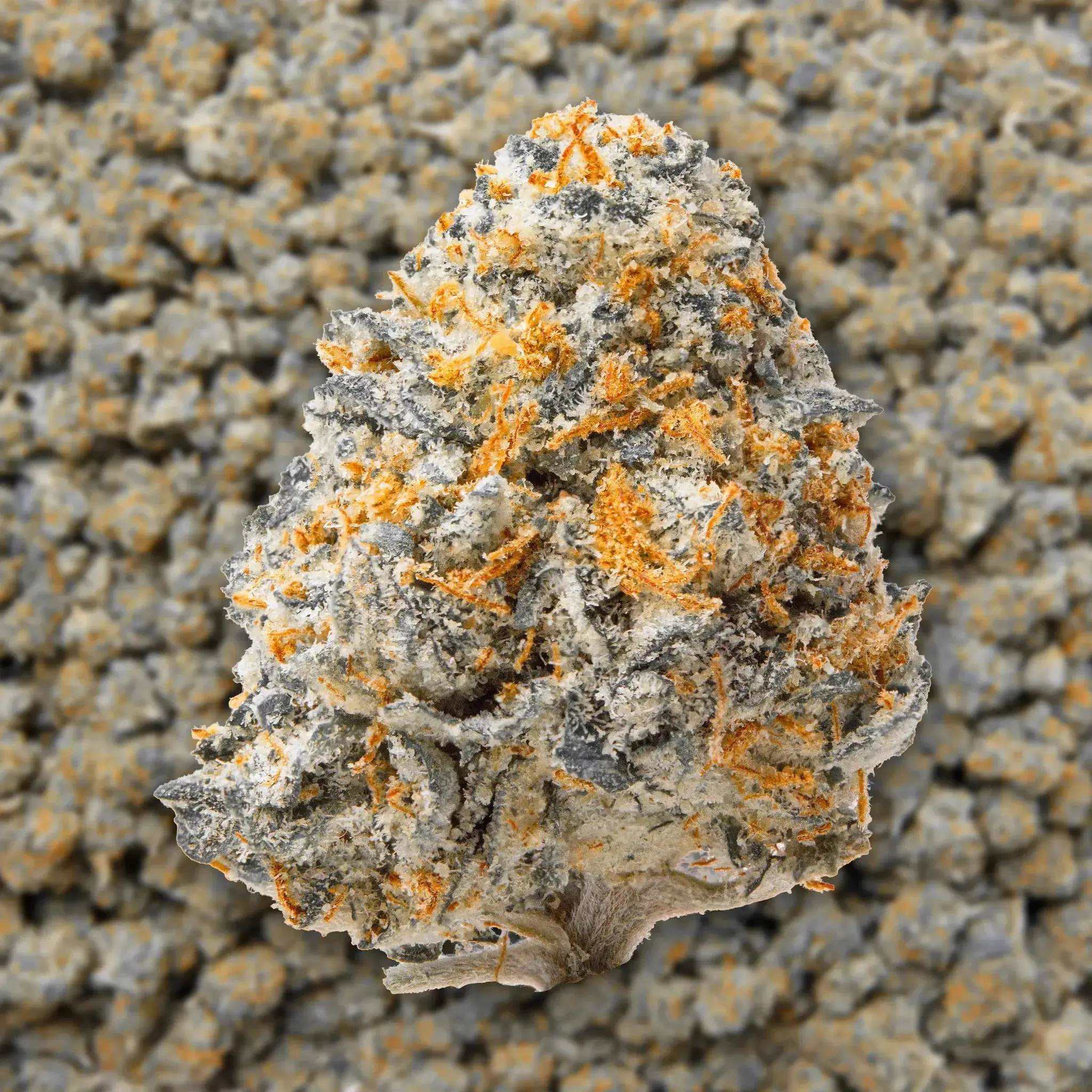Hindu Kush Smalls THCa Flower - Image 3