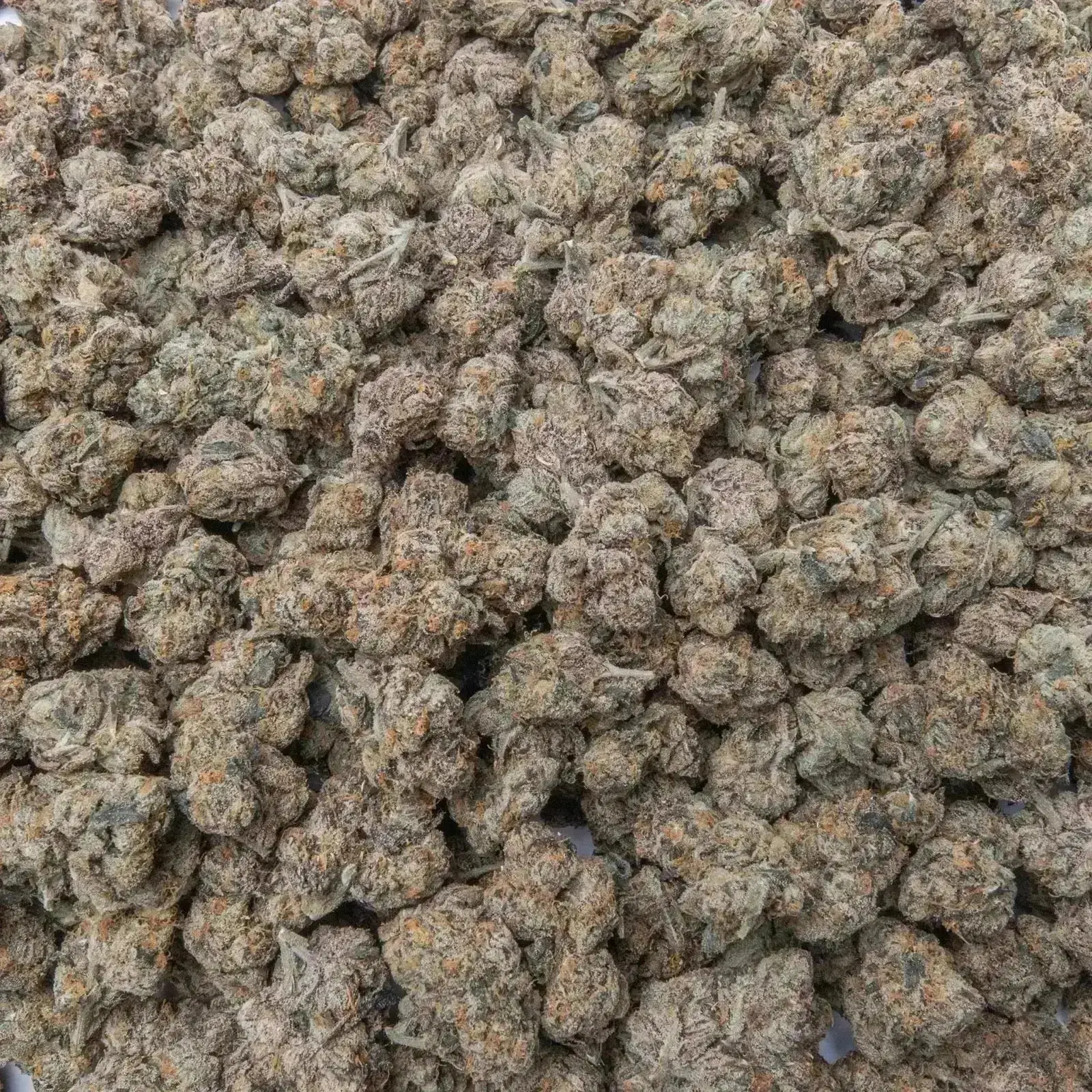 Lemon Cherry Belts THCa Flower - Image 7