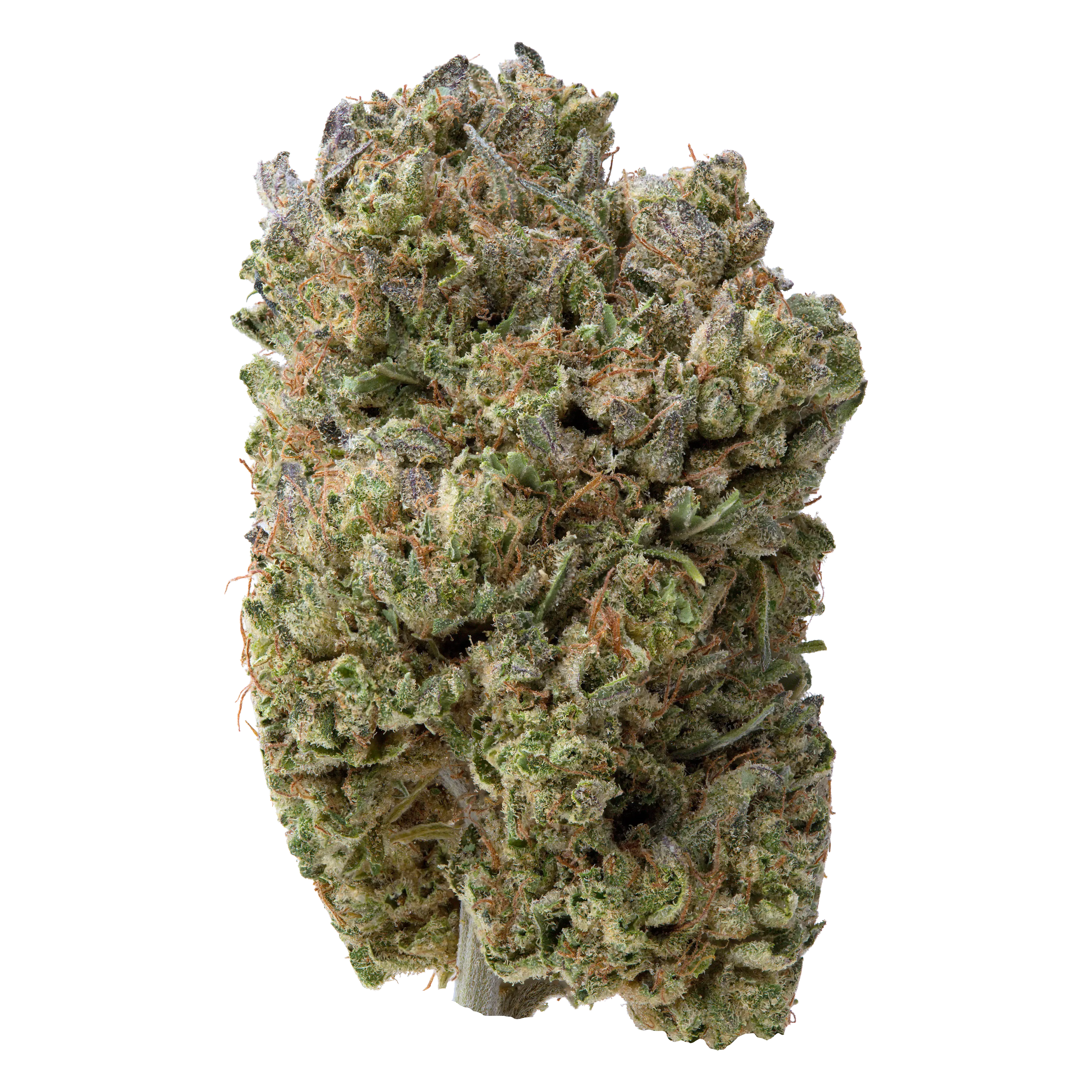 THCa Flower in New Mexico