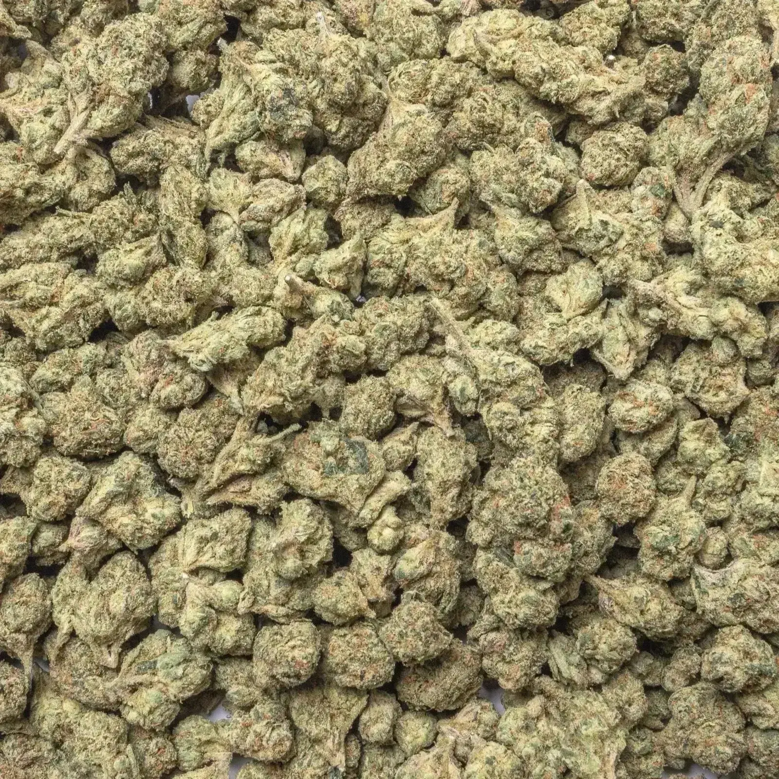 Lemon Cherry Gelato THCa Flower - Image 3