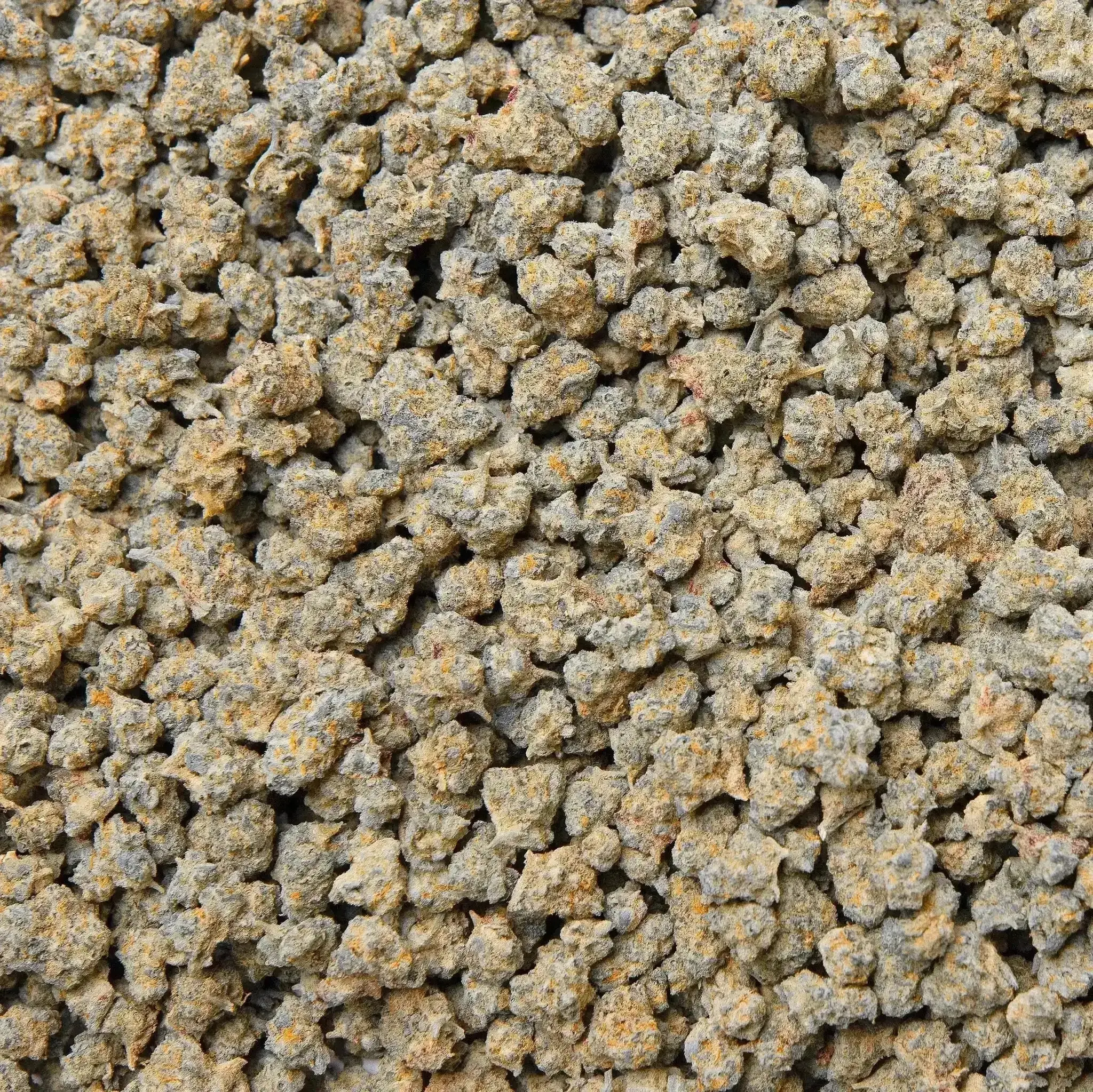 Pineapple Express THCa Flower - Image 5