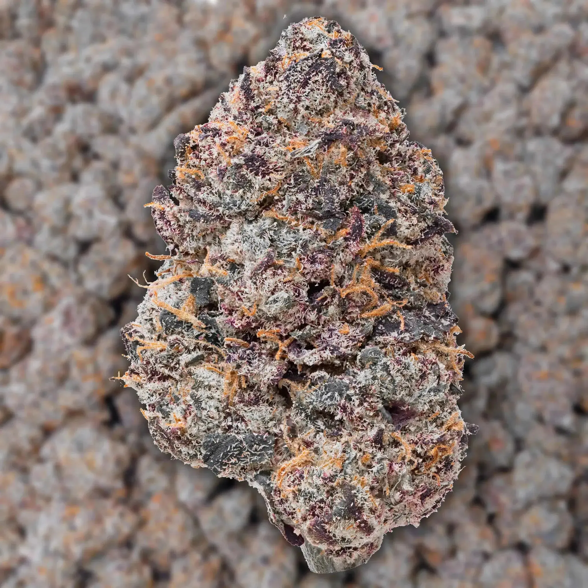 Purple Certz THCa Flower Ounce - Image 3