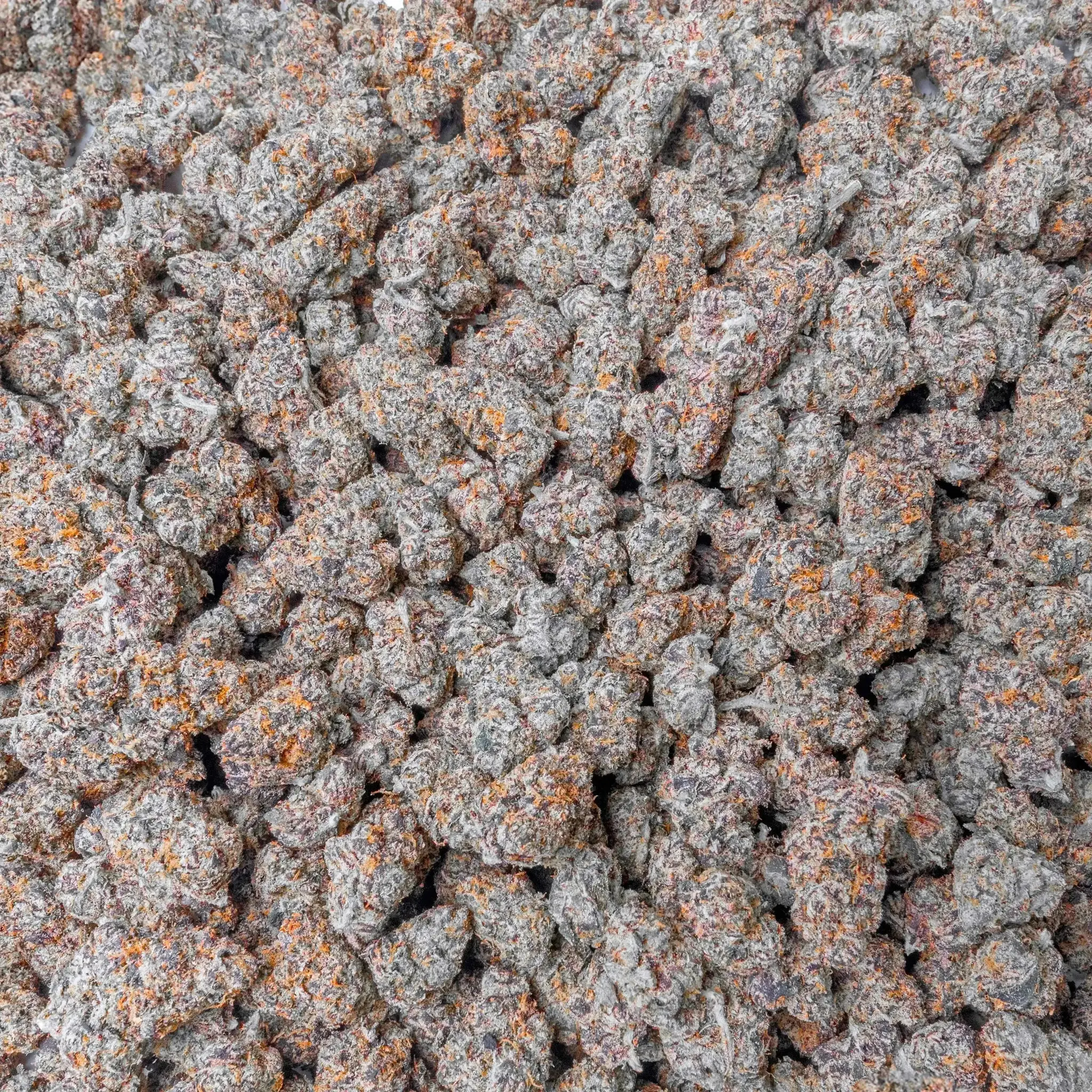 Purple Certz THCa Flower Ounce - Image 6