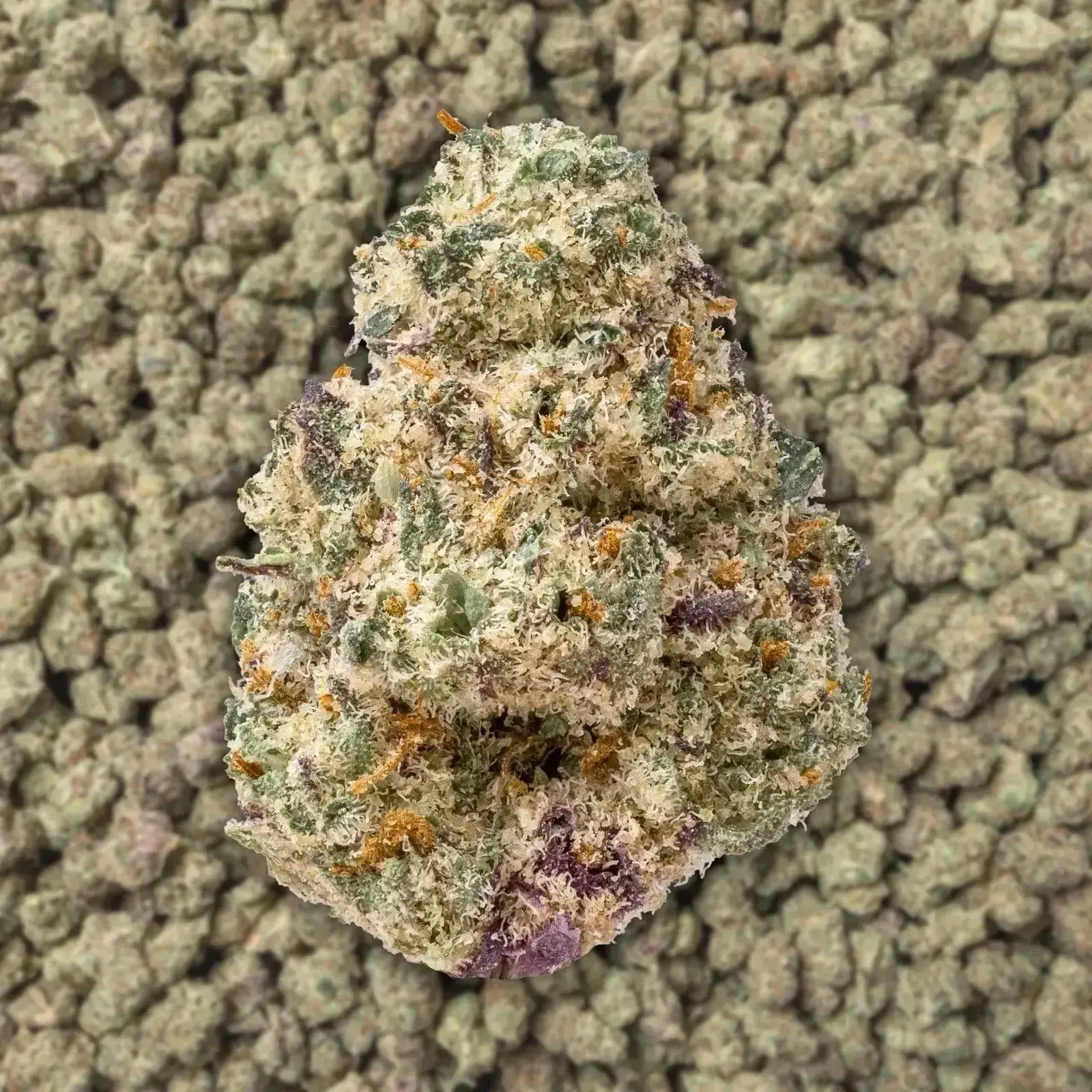 Purple Haze Smalls THCa Flower Ounce - Image 3
