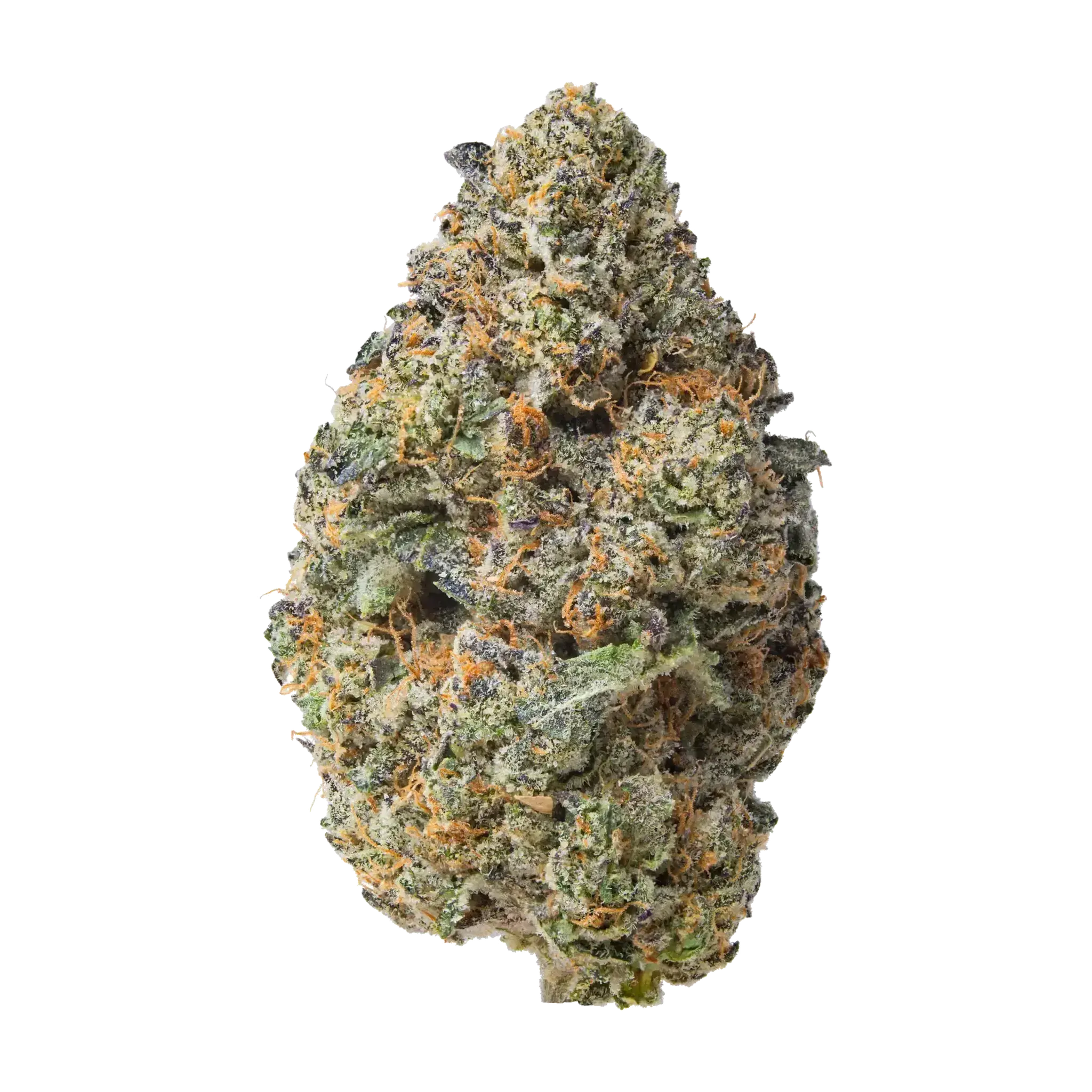 Purple Passion THCa Flower - Image 2