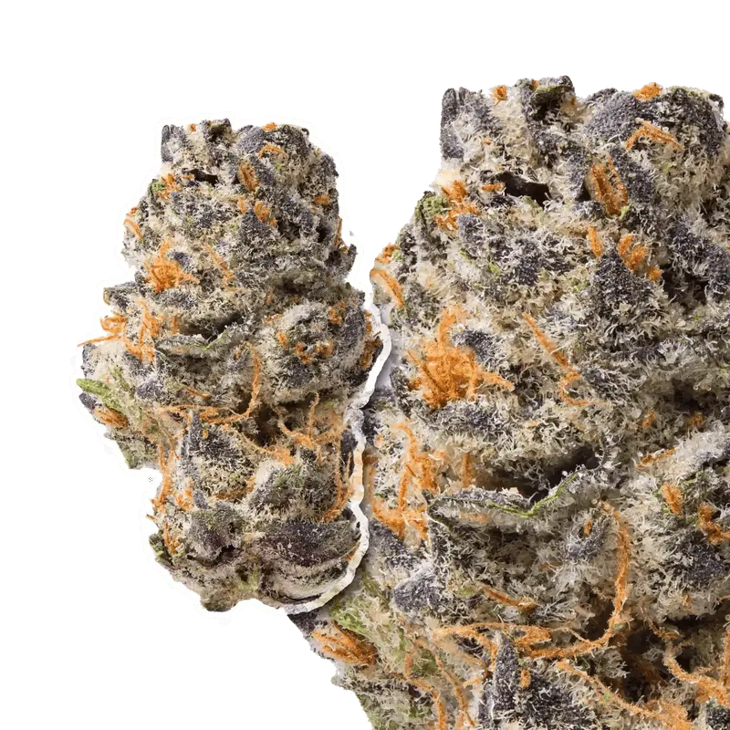 Queen Sherb THCa Flower - Image 4