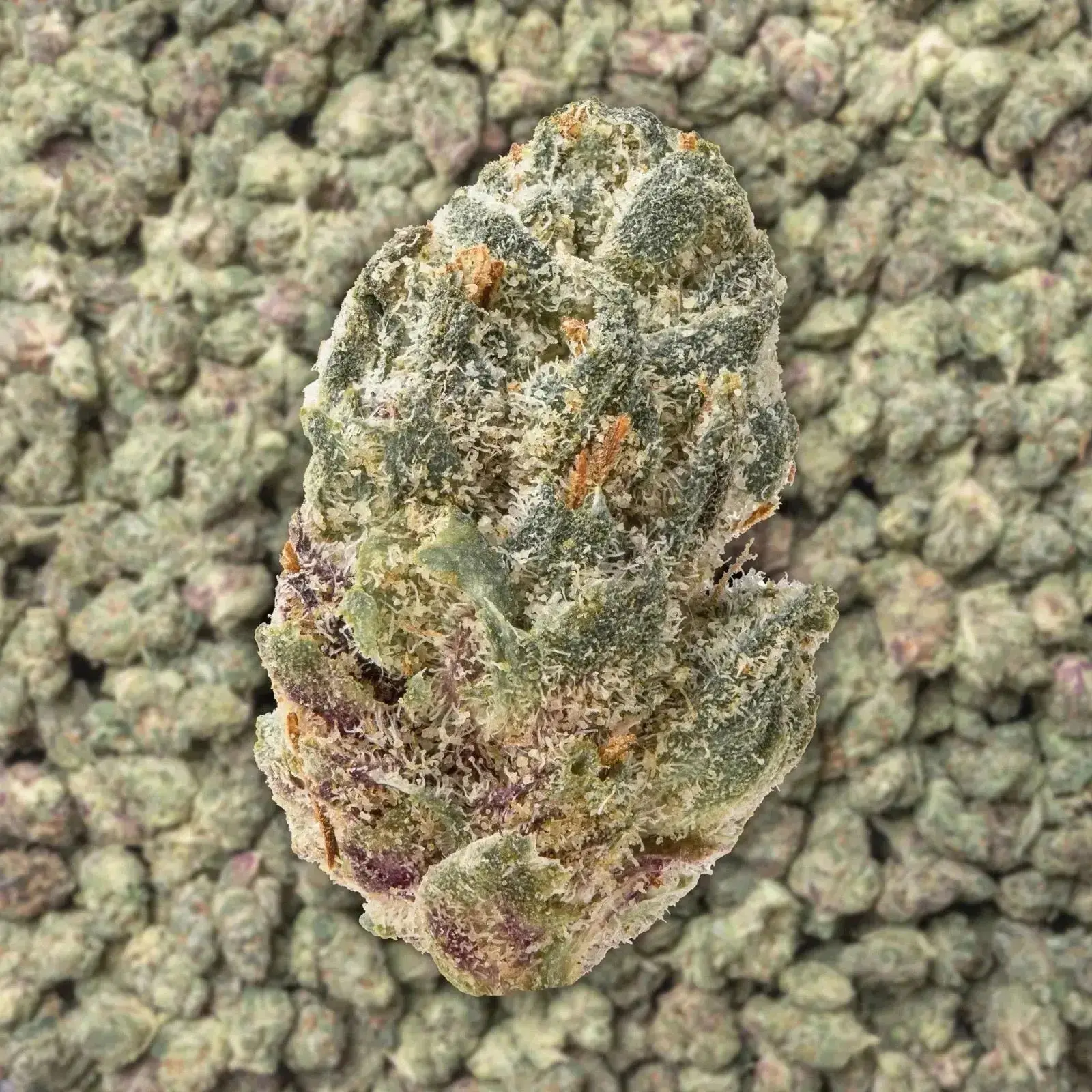 Raspberry Gas Smalls THCa Flower Ounce - Image 3
