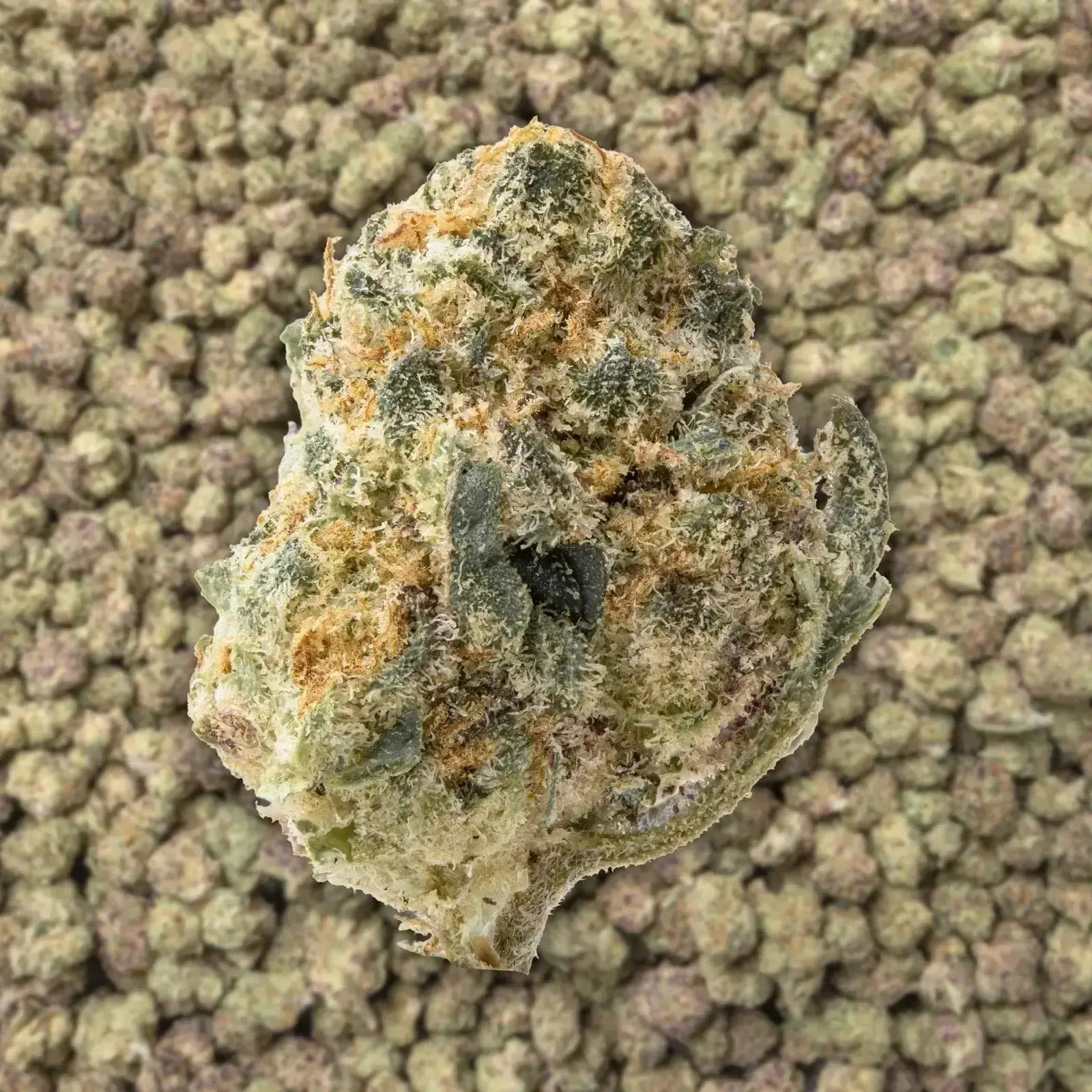 Scented Marker Smalls THCa Flower 3.5 Grams - Image 3