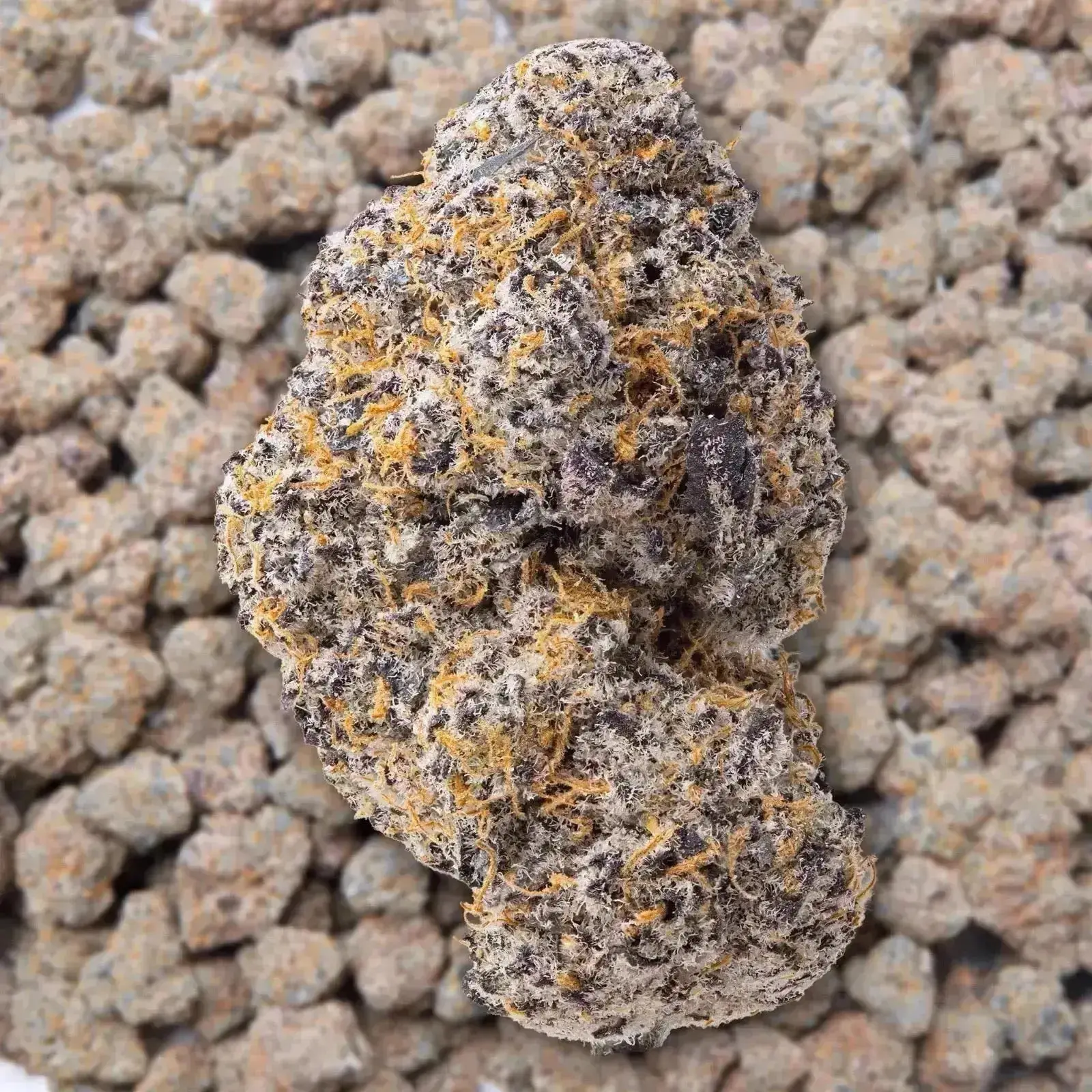 Silver Spoon THCa Flower 3.5 Grams - Image 3