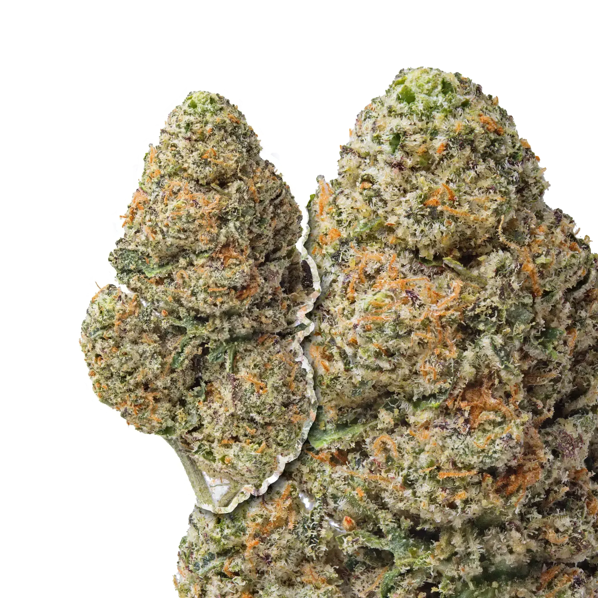 Space Runtz THCa Flower - Image 4