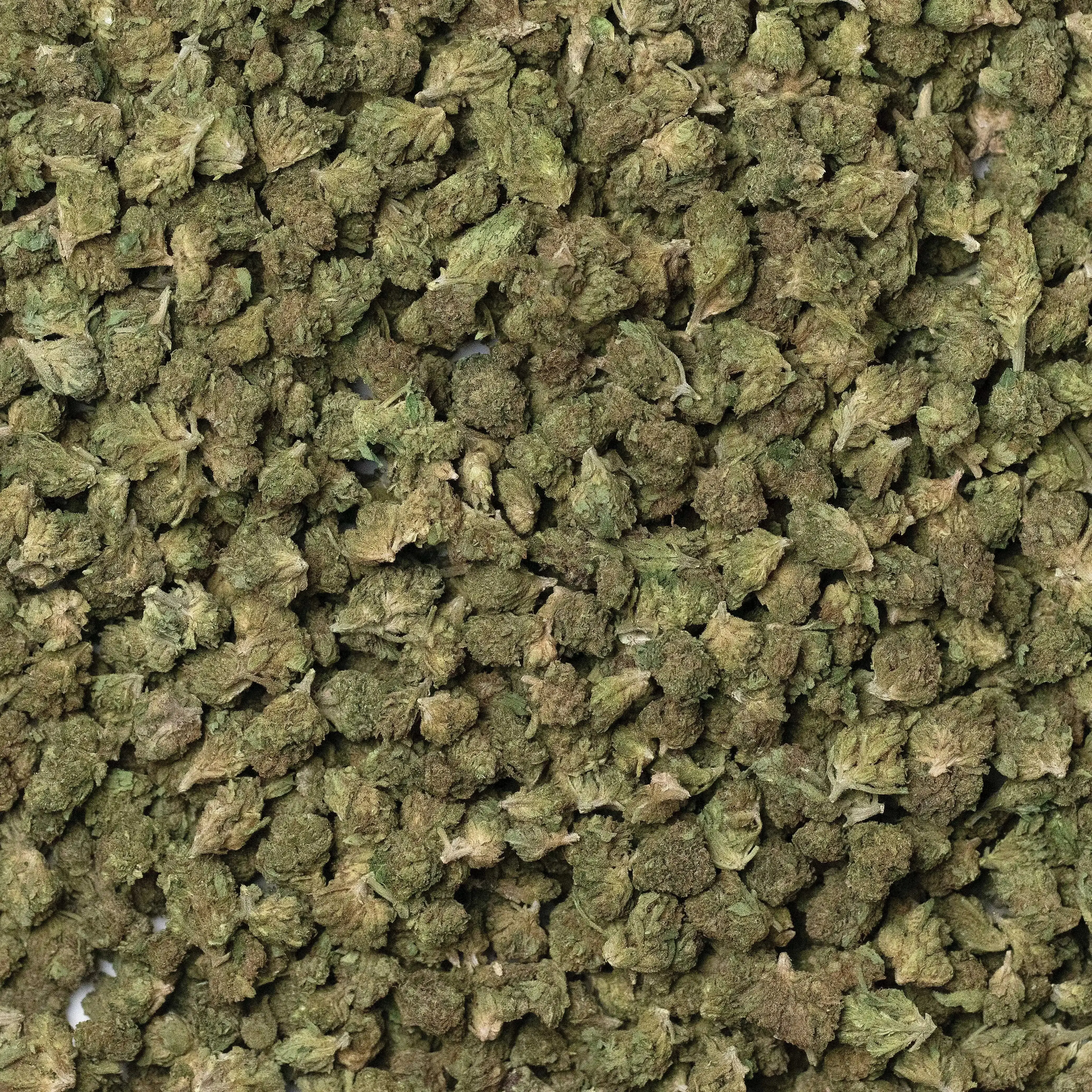 Ounce Deal Bags THCa Flower - Image 5