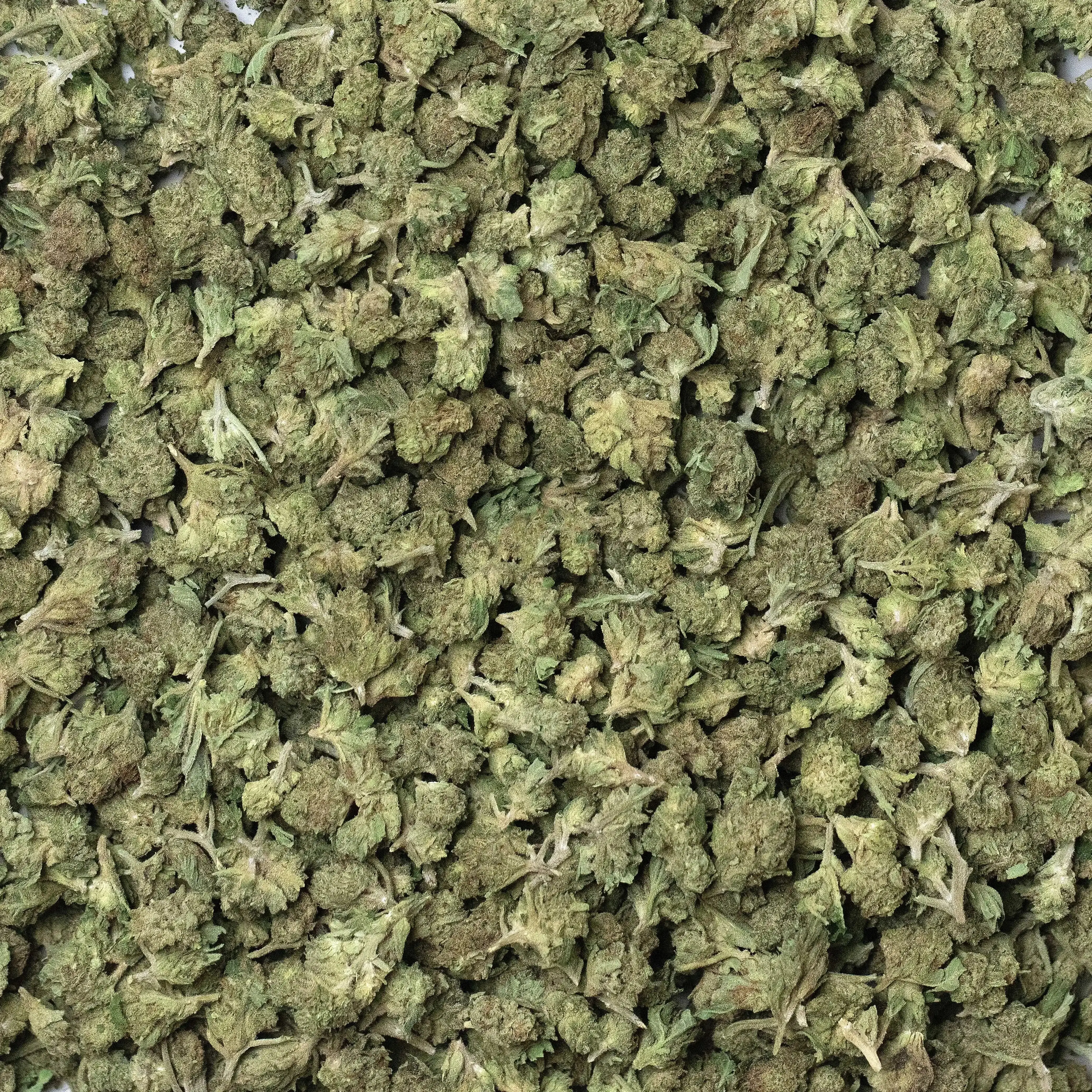 Ounce Deal Bags THCa Flower - Image 6