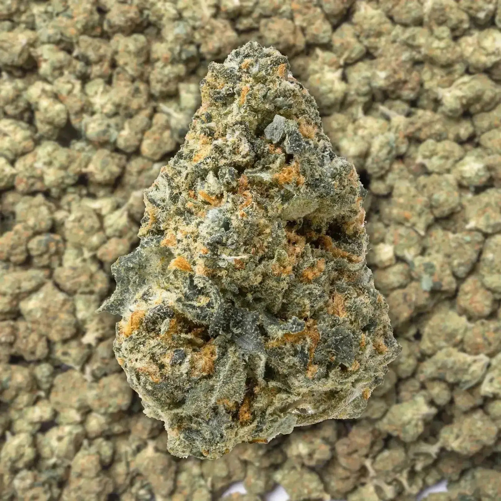 Trainwreck Smalls THCa Flower - Image 3