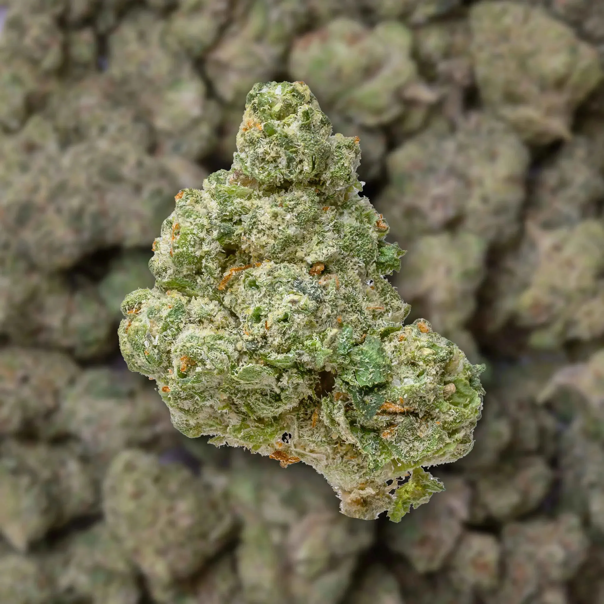 Upside Down Runtz Smalls THCa Flower - Image 3