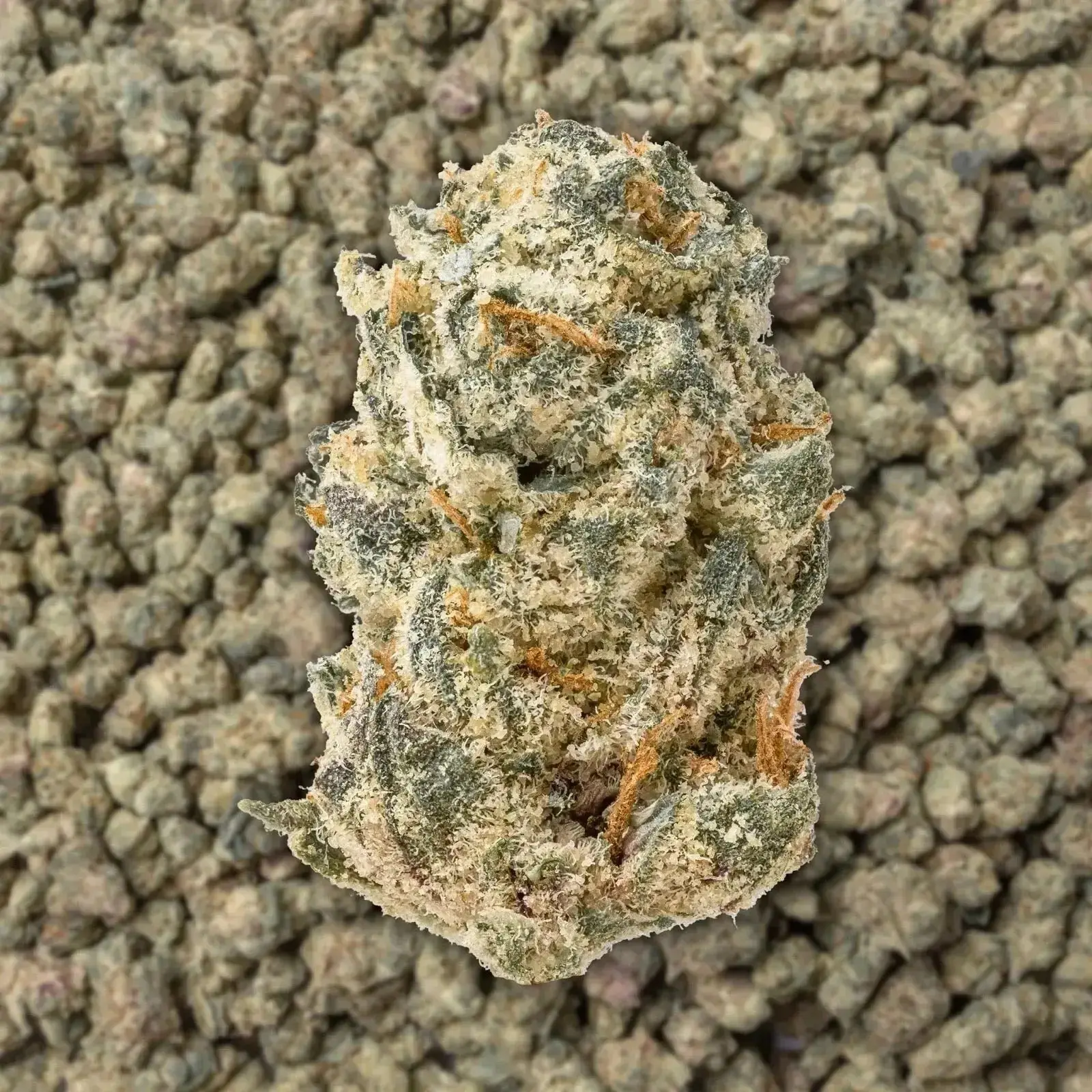 White Bubblegum Gelato Smalls THCa Flower Ounce - Image 3