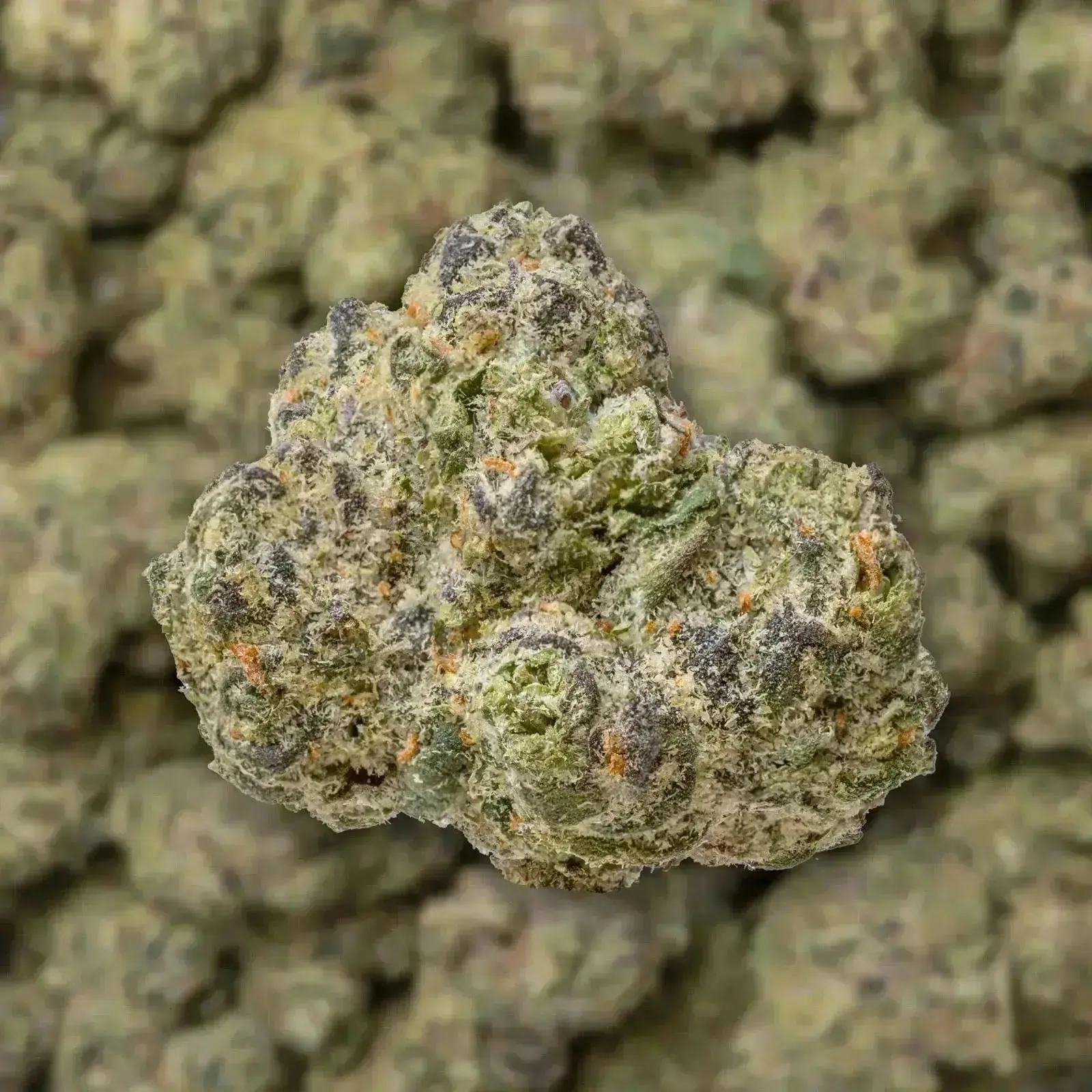 White Guava Smalls THCa Flower - Image 3