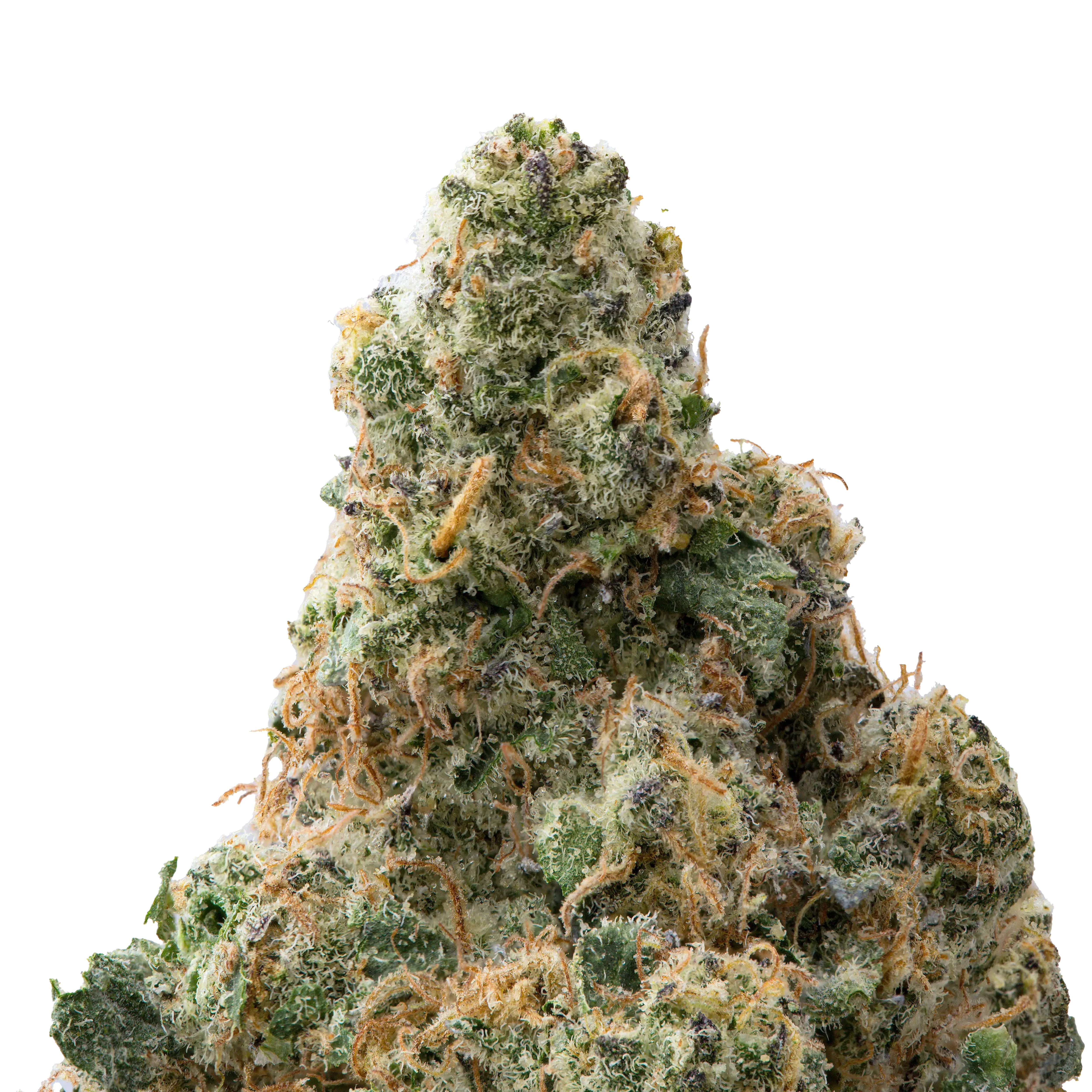 Zangria THCa Flower